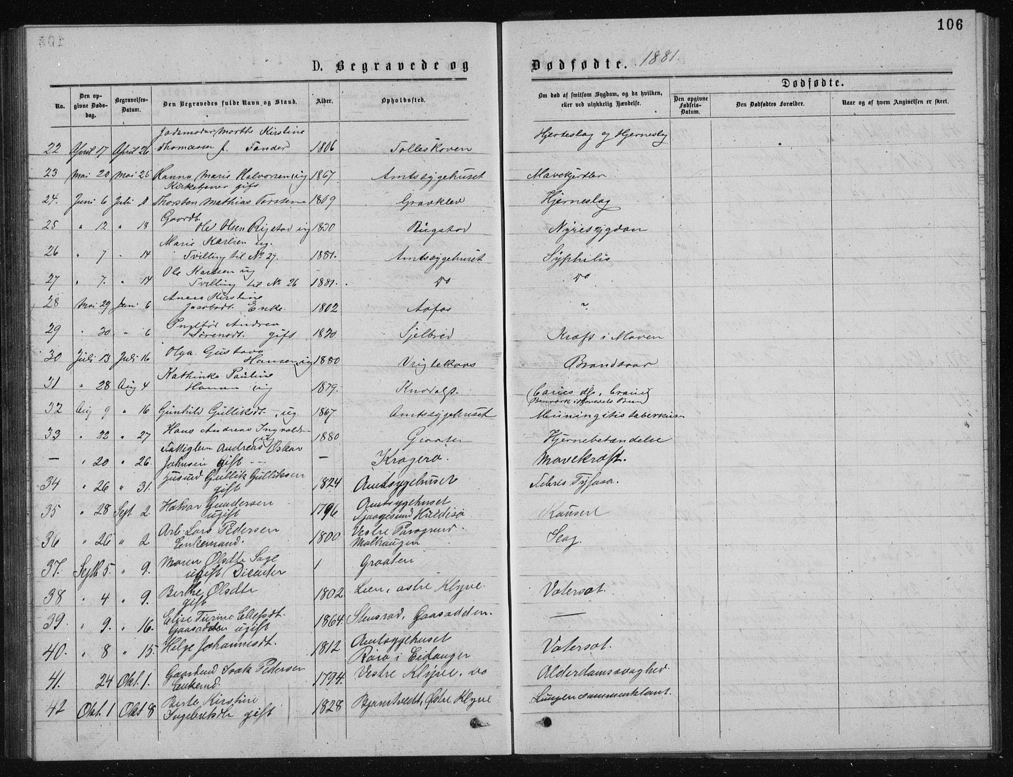 Solum kirkebøker, AV/SAKO-A-306/G/Ga/L0005: Klokkerbok nr. I 5, 1877-1881, s. 106