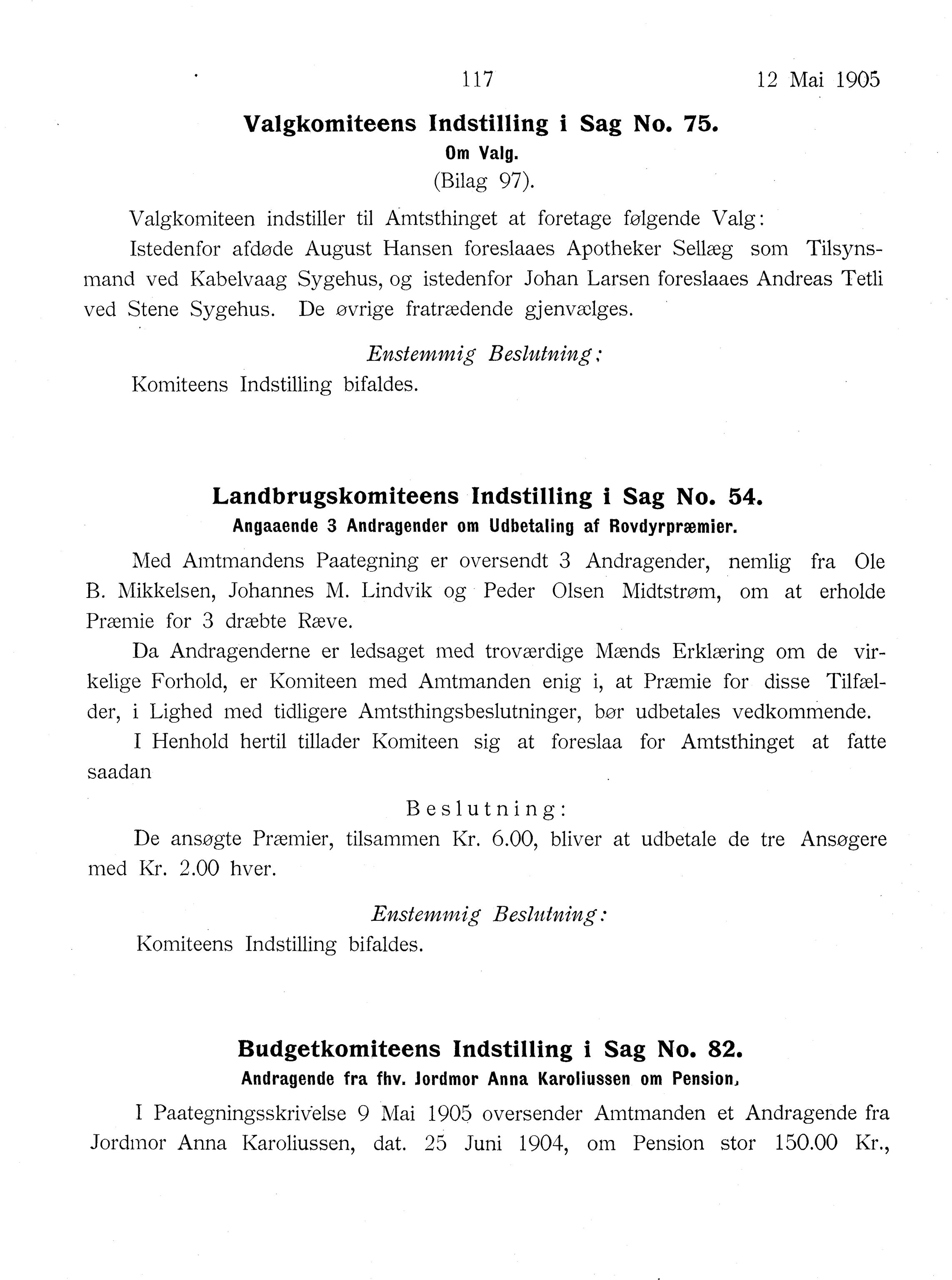Nordland Fylkeskommune. Fylkestinget, AIN/NFK-17/176/A/Ac/L0028: Fylkestingsforhandlinger 1905, 1905