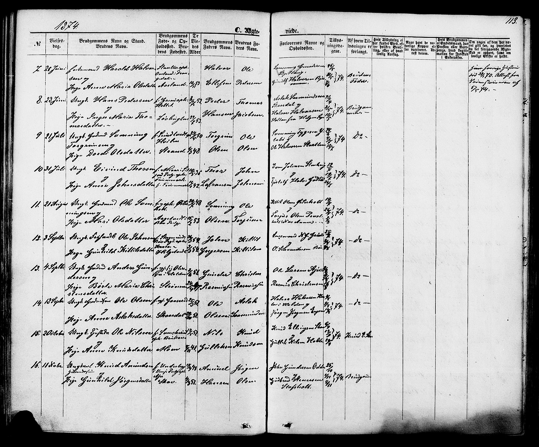 Lunde kirkebøker, AV/SAKO-A-282/F/Fa/L0001: Ministerialbok nr. I 1, 1866-1883, s. 113