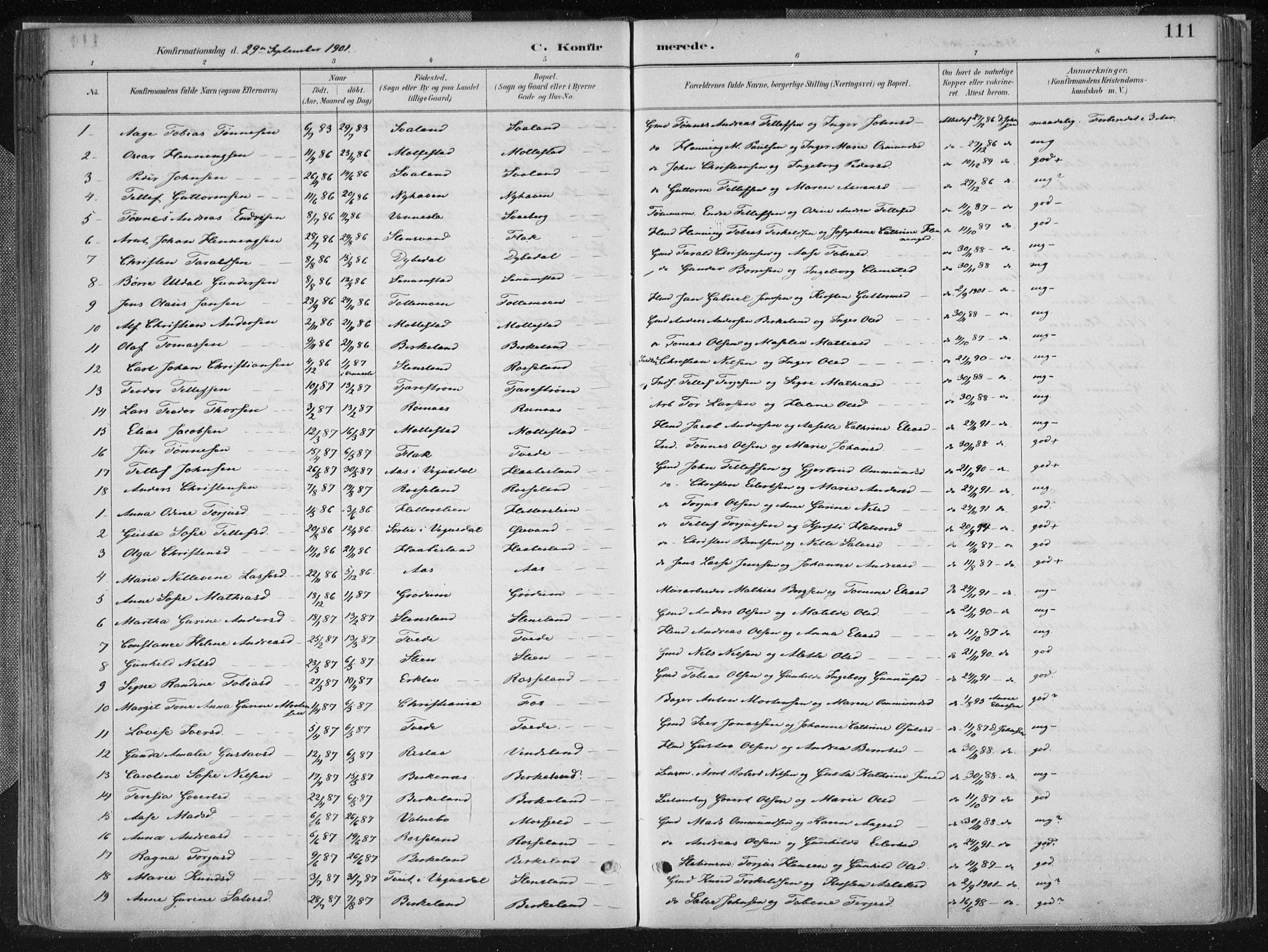 Birkenes sokneprestkontor, AV/SAK-1111-0004/F/Fa/L0005: Ministerialbok nr. A 5, 1887-1907, s. 111