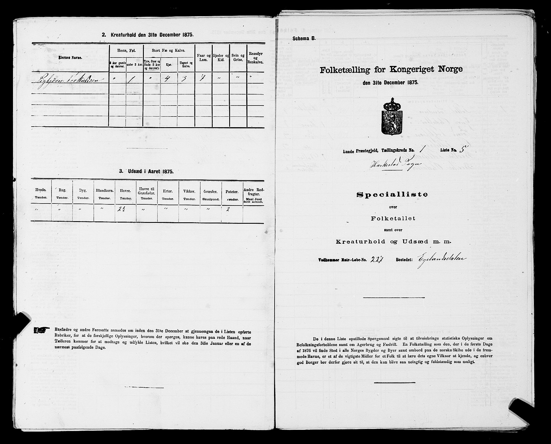 SAST, Folketelling 1875 for 1112P Lund prestegjeld, 1875, s. 594