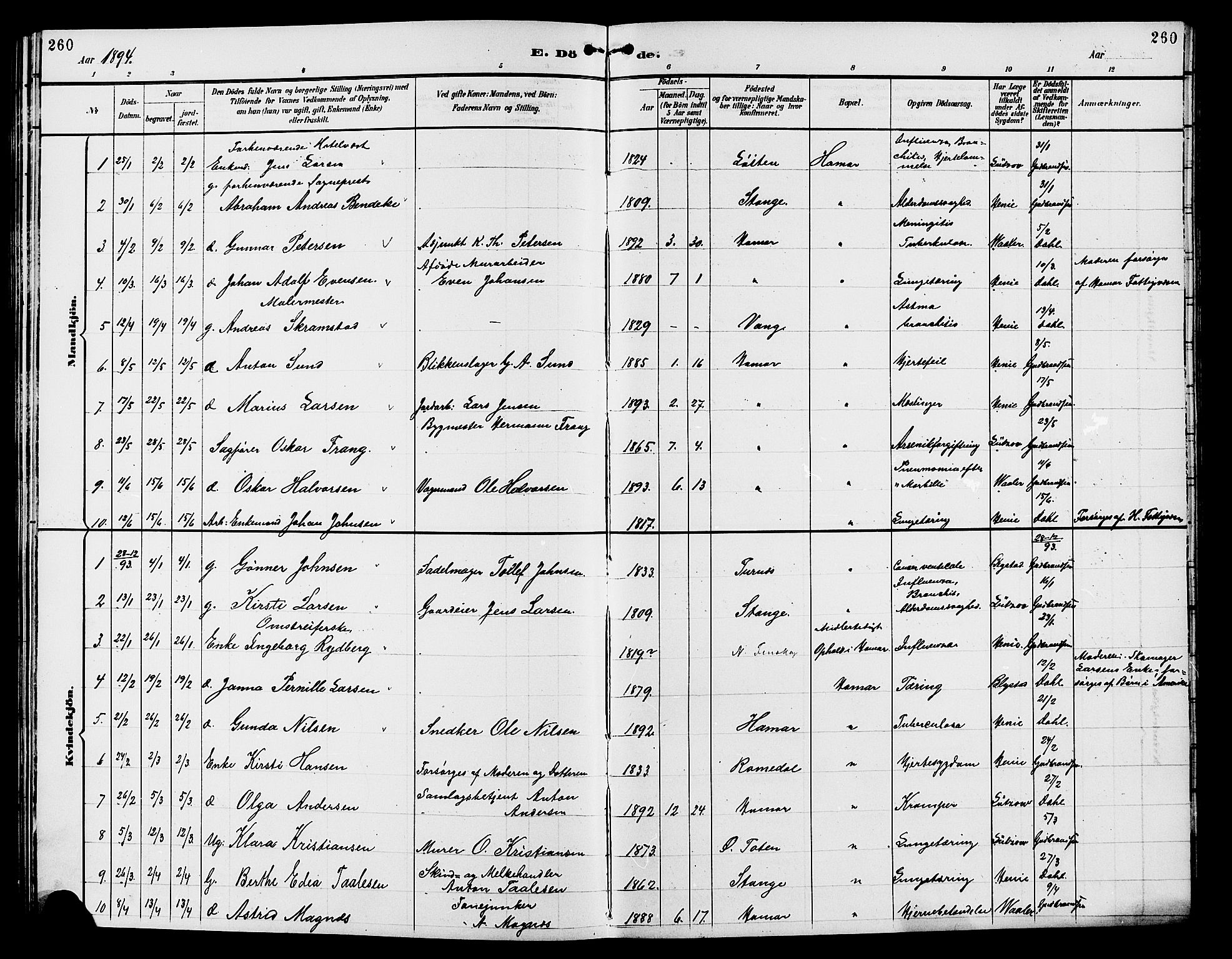 Vang prestekontor, Hedmark, AV/SAH-PREST-008/H/Ha/Hab/L0013: Klokkerbok nr. 13, 1890-1899, s. 260