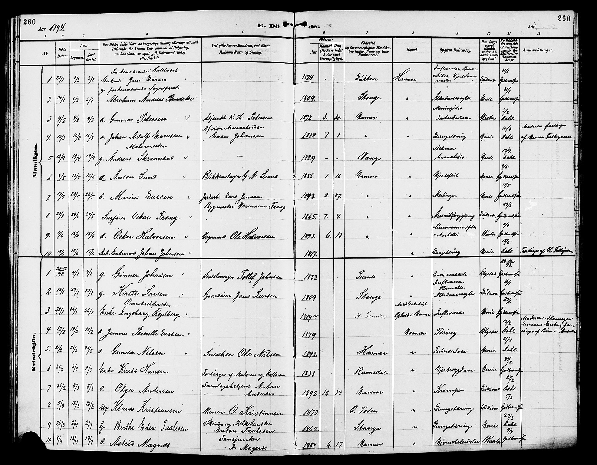 Vang prestekontor, Hedmark, SAH/PREST-008/H/Ha/Hab/L0013: Klokkerbok nr. 13, 1890-1899, s. 260