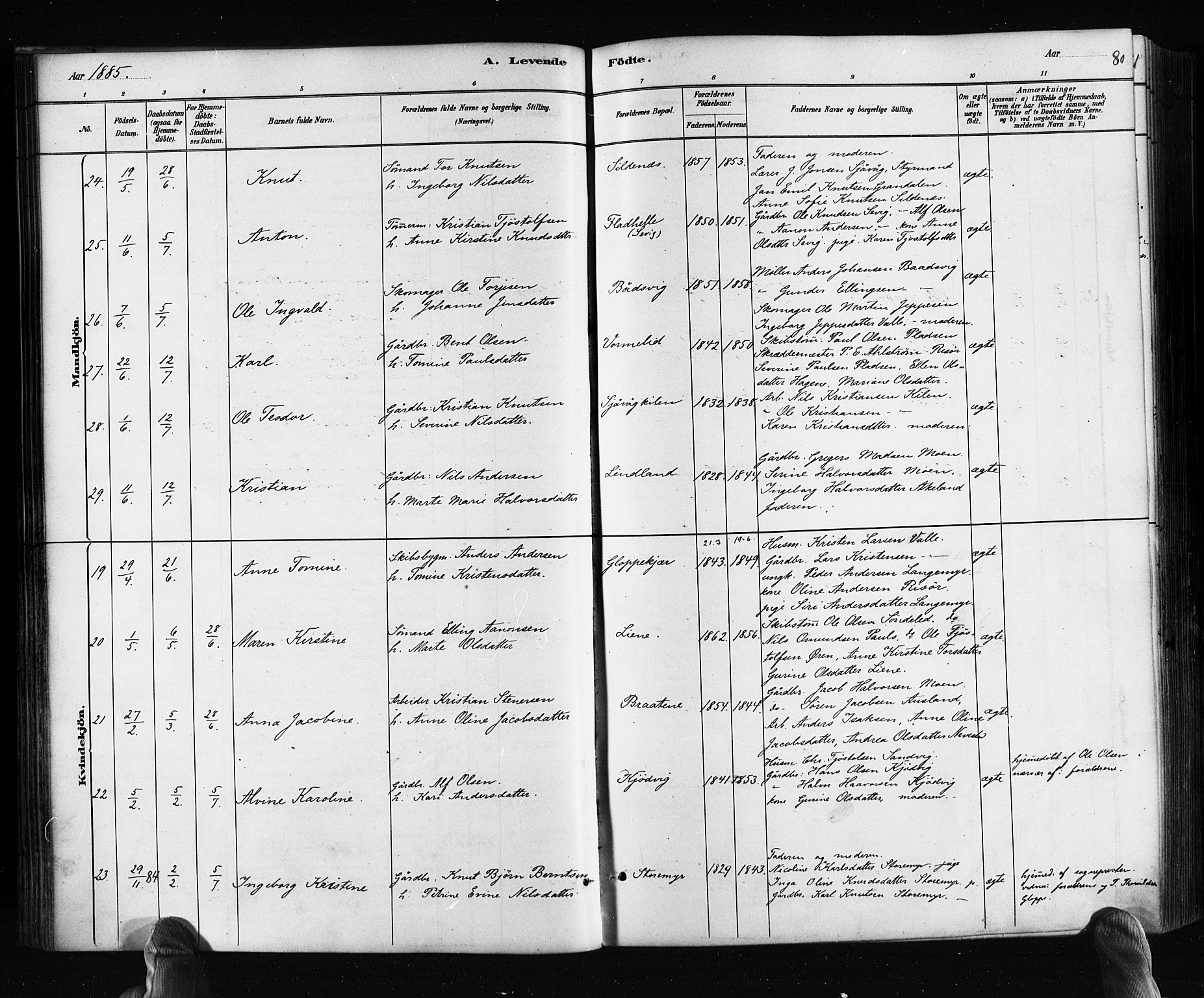 Søndeled sokneprestkontor, AV/SAK-1111-0038/F/Fa/L0004: Ministerialbok nr. A 4, 1880-1889, s. 80