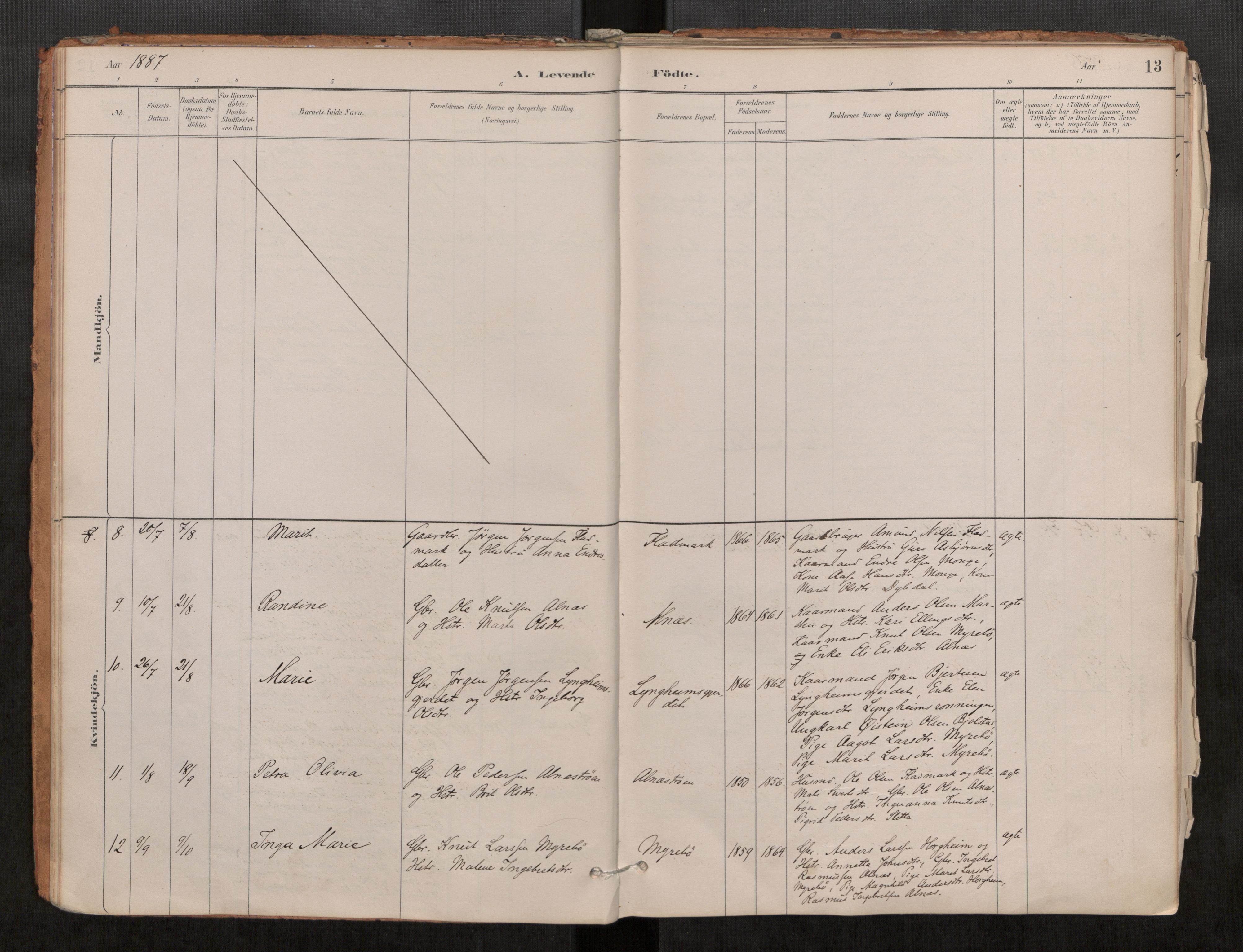 Ministerialprotokoller, klokkerbøker og fødselsregistre - Møre og Romsdal, AV/SAT-A-1454/546/L0599: Ministerialbok nr. 546A03, 1882-1920, s. 13