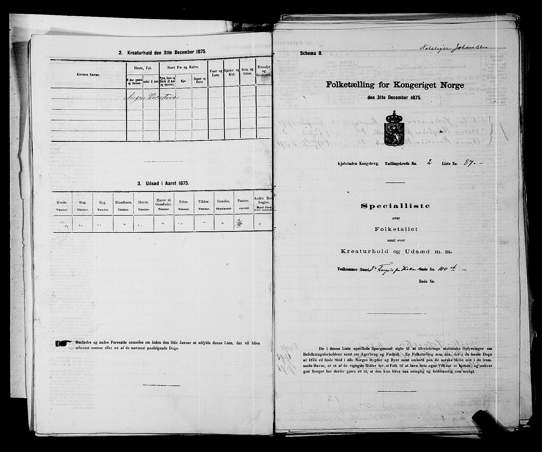 SAKO, Folketelling 1875 for 0604B Kongsberg prestegjeld, Kongsberg kjøpstad, 1875, s. 222