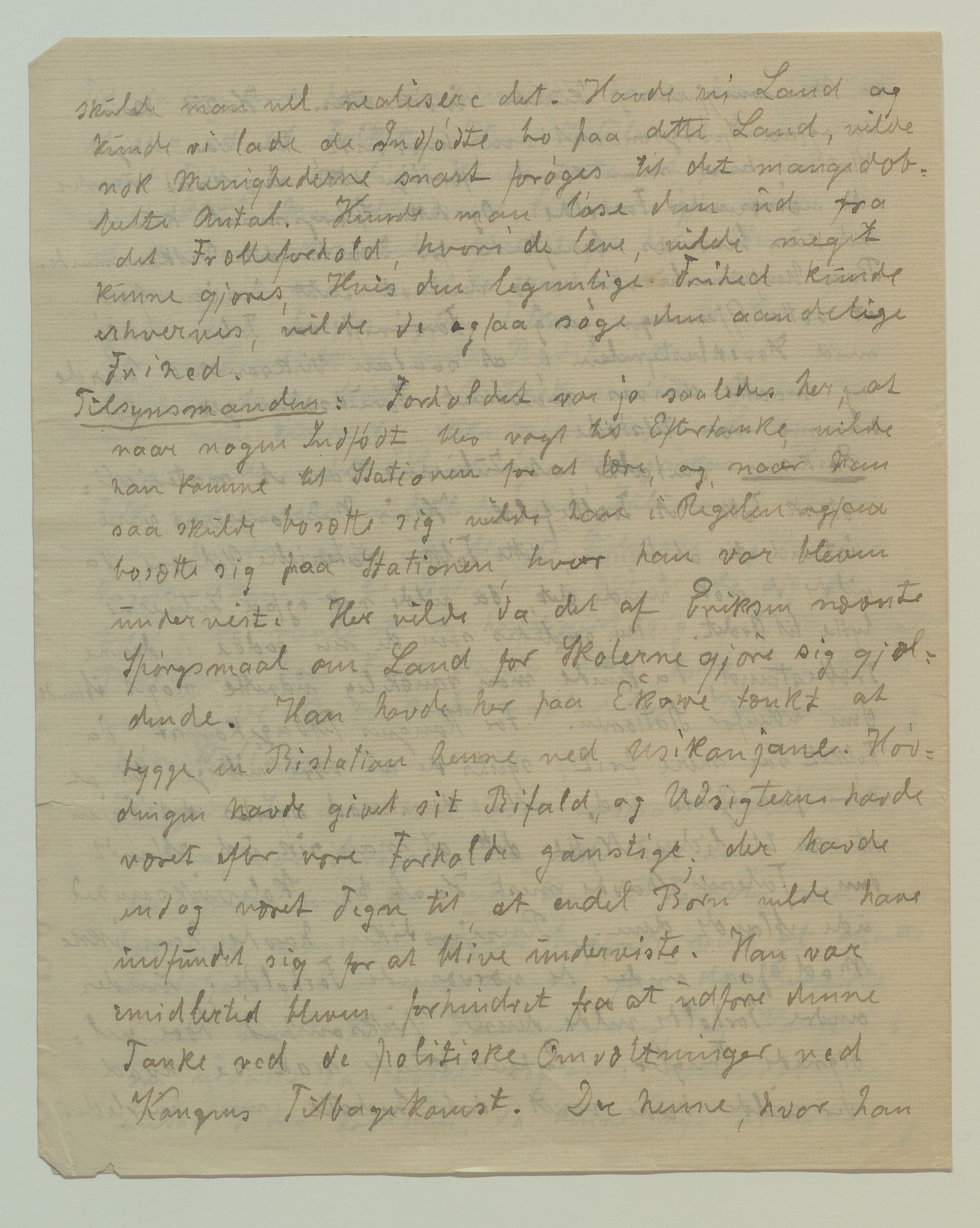 Det Norske Misjonsselskap - hovedadministrasjonen, VID/MA-A-1045/D/Da/Daa/L0036/0008: Konferansereferat og årsberetninger / Konferansereferat fra Sør-Afrika., 1884