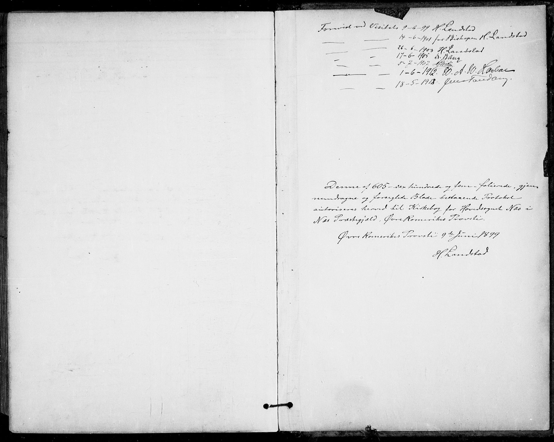Nes prestekontor Kirkebøker, AV/SAO-A-10410/F/Fa/L0011: Ministerialbok nr. I 11, 1899-1918