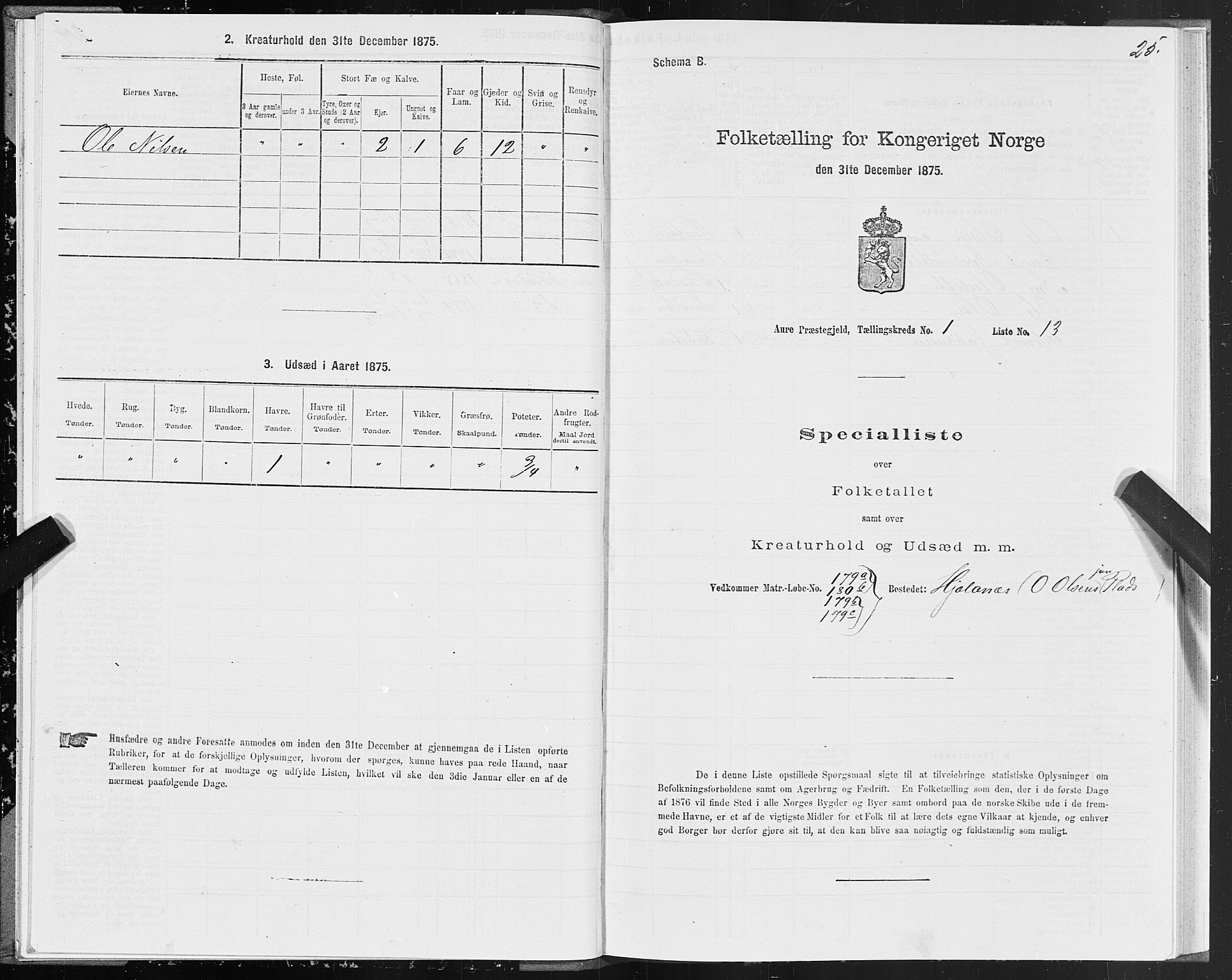 SAT, Folketelling 1875 for 1569P Aure prestegjeld, 1875, s. 1025