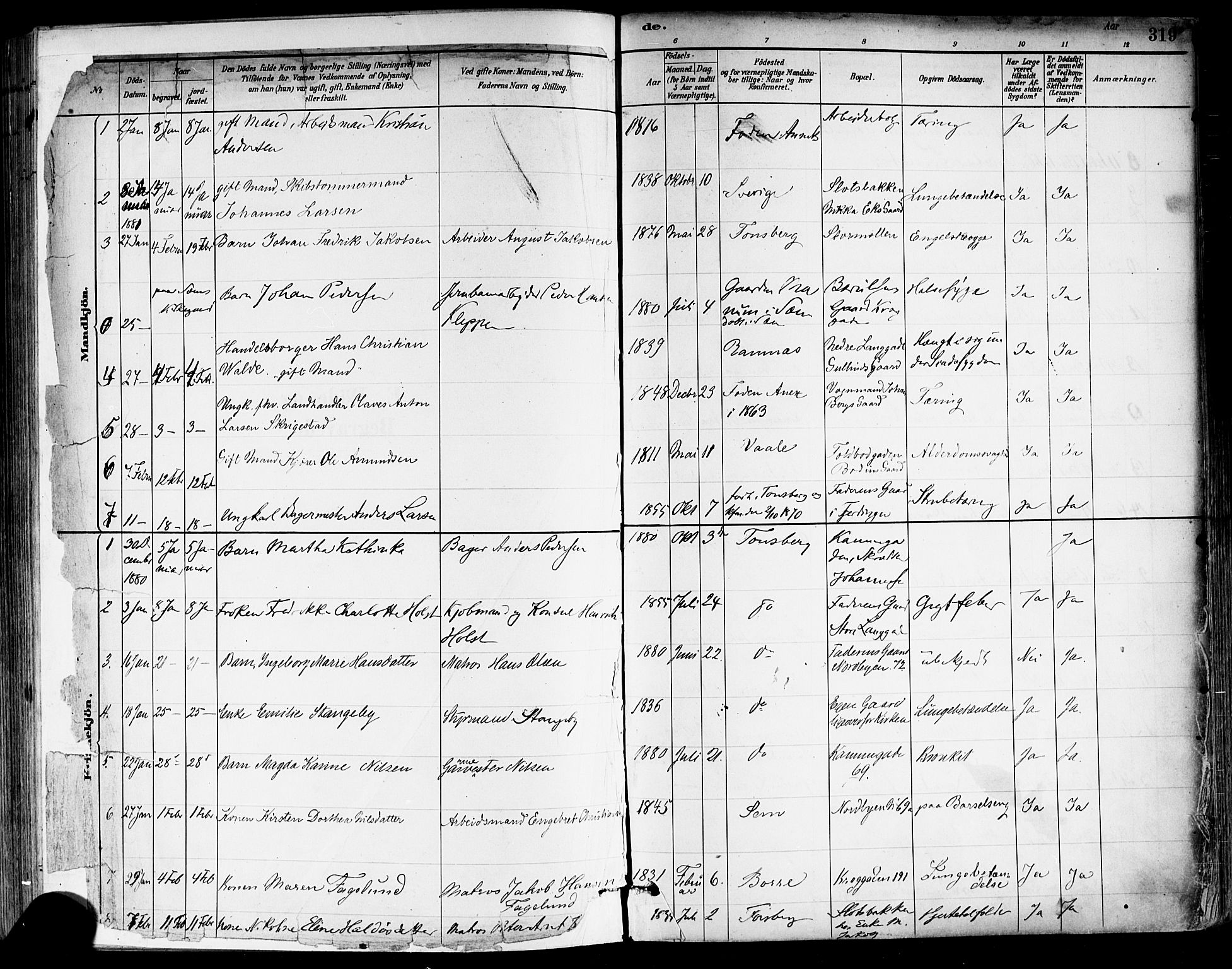 Tønsberg kirkebøker, AV/SAKO-A-330/F/Fa/L0011: Ministerialbok nr. I 11, 1881-1890, s. 319