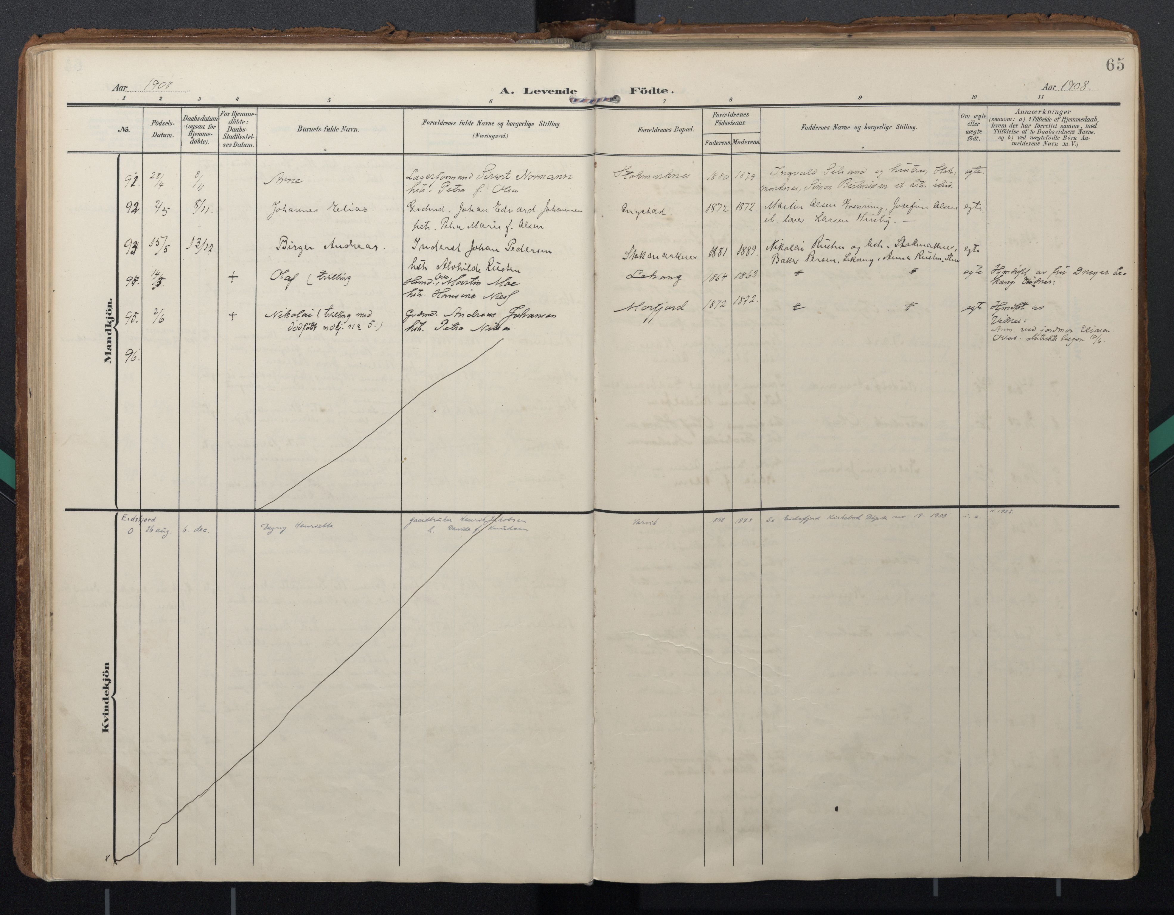 Ministerialprotokoller, klokkerbøker og fødselsregistre - Nordland, AV/SAT-A-1459/888/L1248: Ministerialbok nr. 888A14, 1904-1913, s. 65