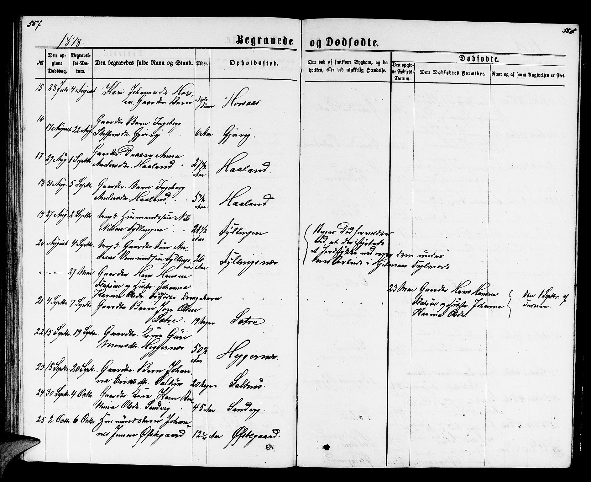 Hamre sokneprestembete, AV/SAB-A-75501/H/Ha/Hab: Klokkerbok nr. B 2, 1863-1880, s. 557-558
