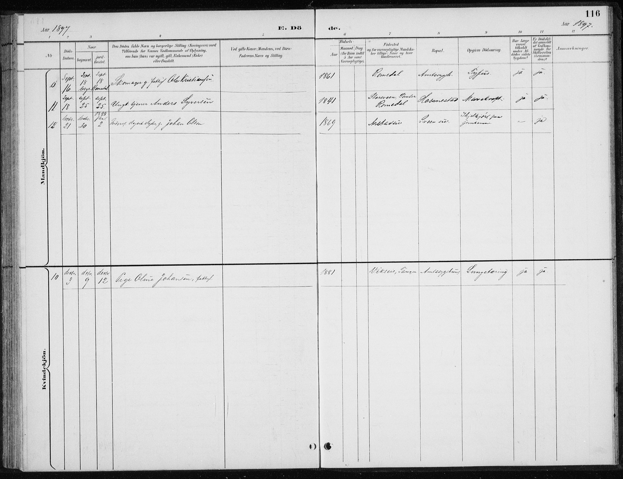 Stange prestekontor, AV/SAH-PREST-002/L/L0010: Klokkerbok nr. 10, 1894-1905, s. 116