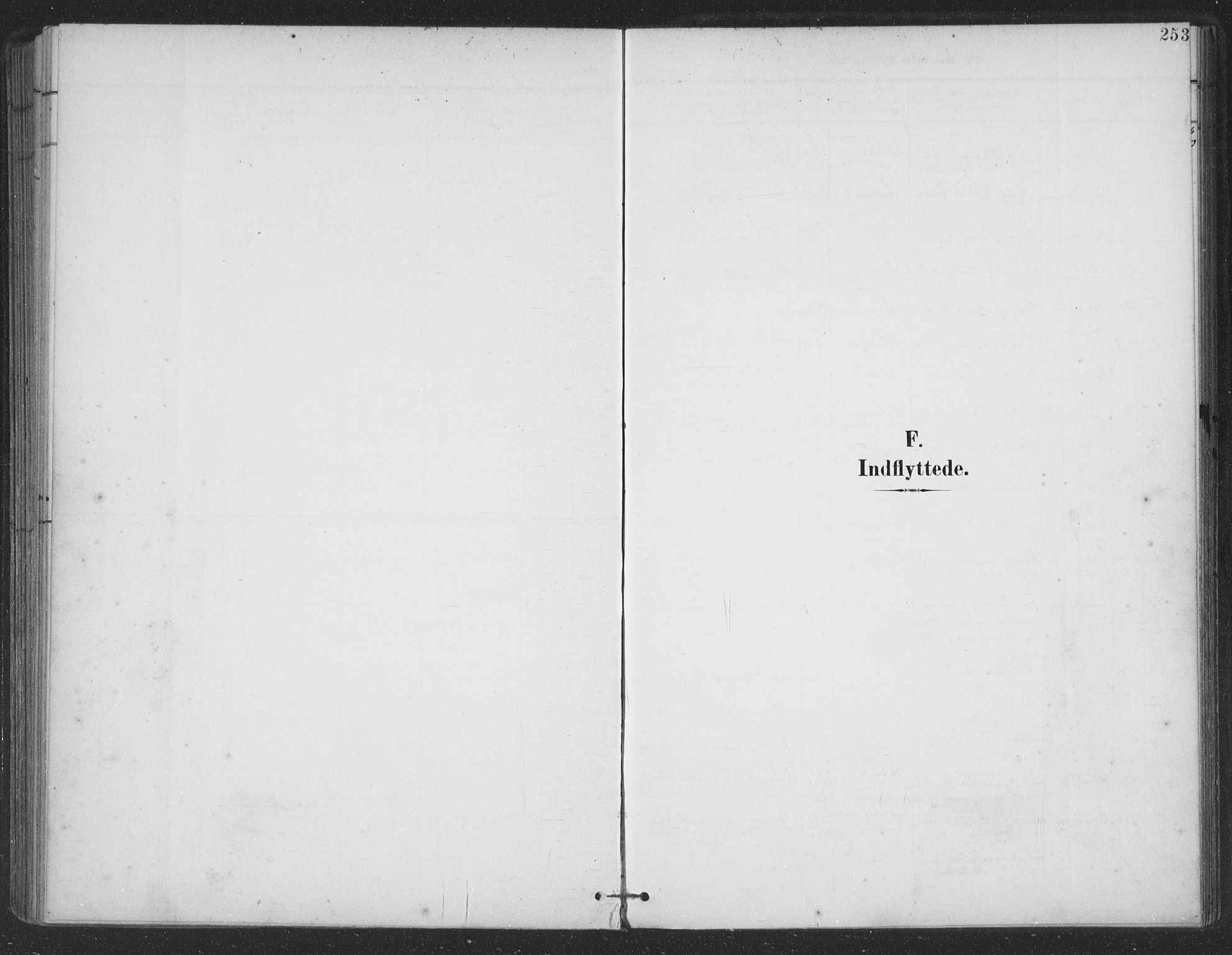 Ministerialprotokoller, klokkerbøker og fødselsregistre - Nordland, AV/SAT-A-1459/863/L0899: Ministerialbok nr. 863A11, 1897-1906, s. 253