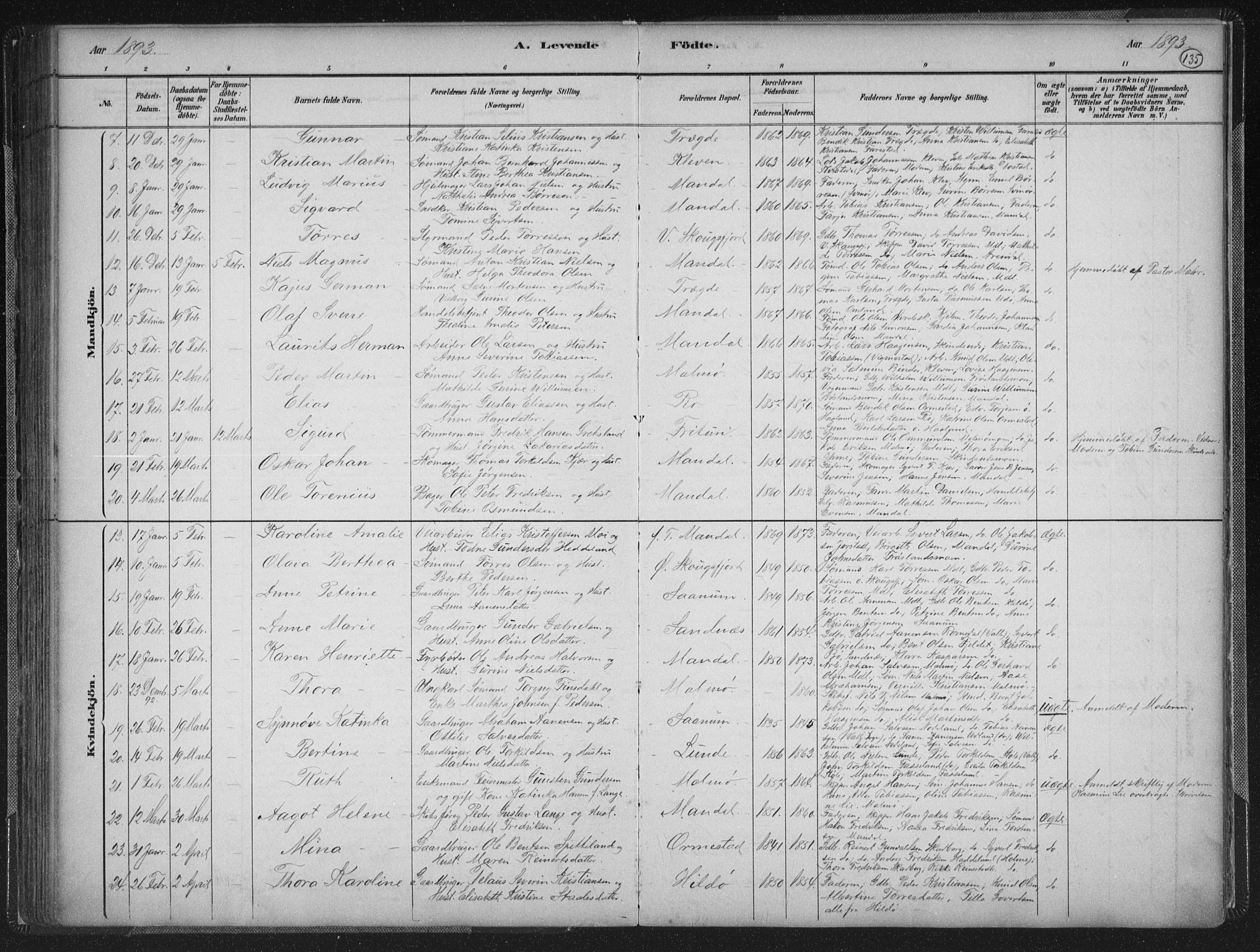 Mandal sokneprestkontor, AV/SAK-1111-0030/F/Fb/Fba/L0011: Klokkerbok nr. B 5, 1880-1898, s. 135
