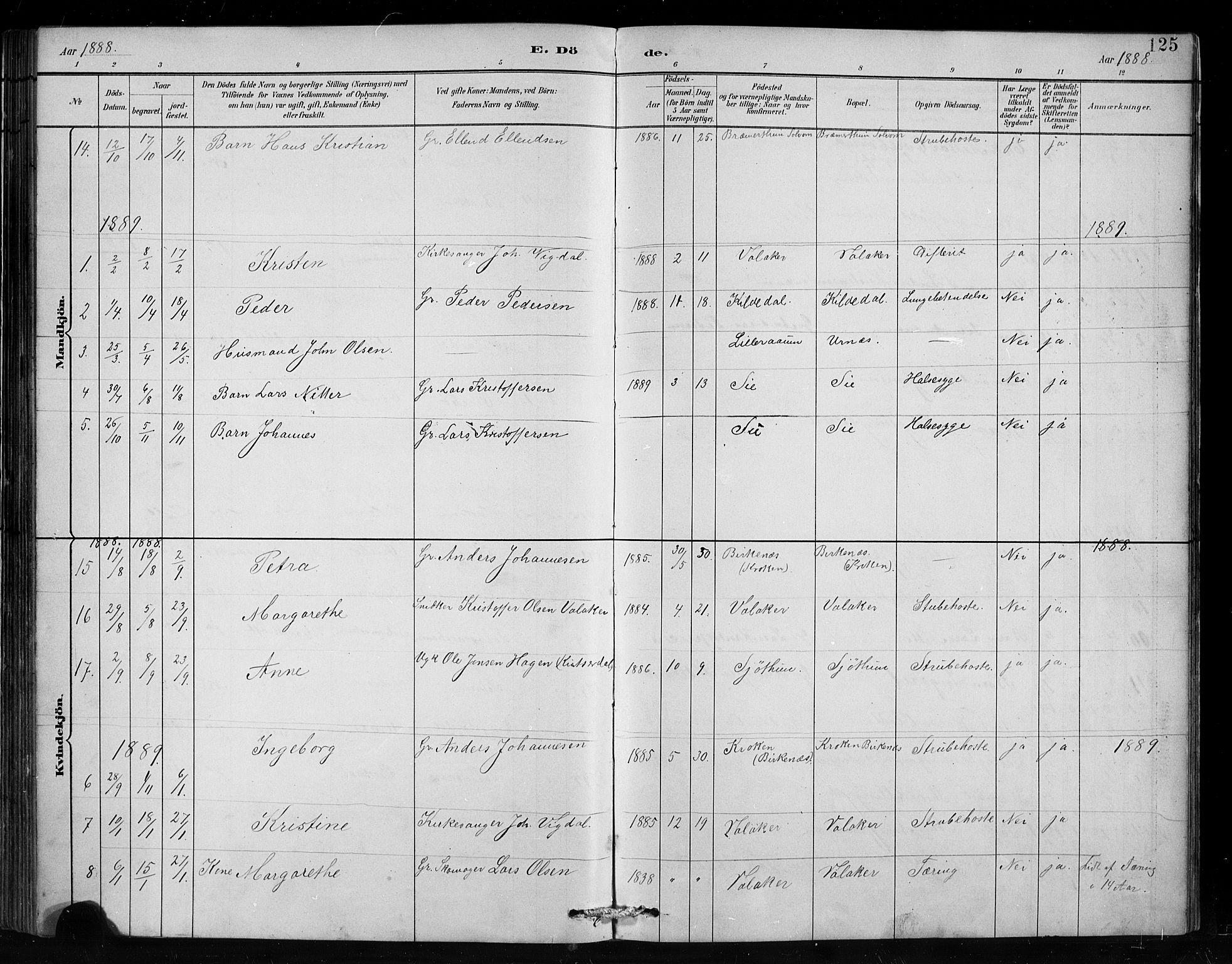 Hafslo sokneprestembete, AV/SAB-A-80301/H/Hab/Habc/L0001: Klokkerbok nr. C 1, 1882-1908, s. 125