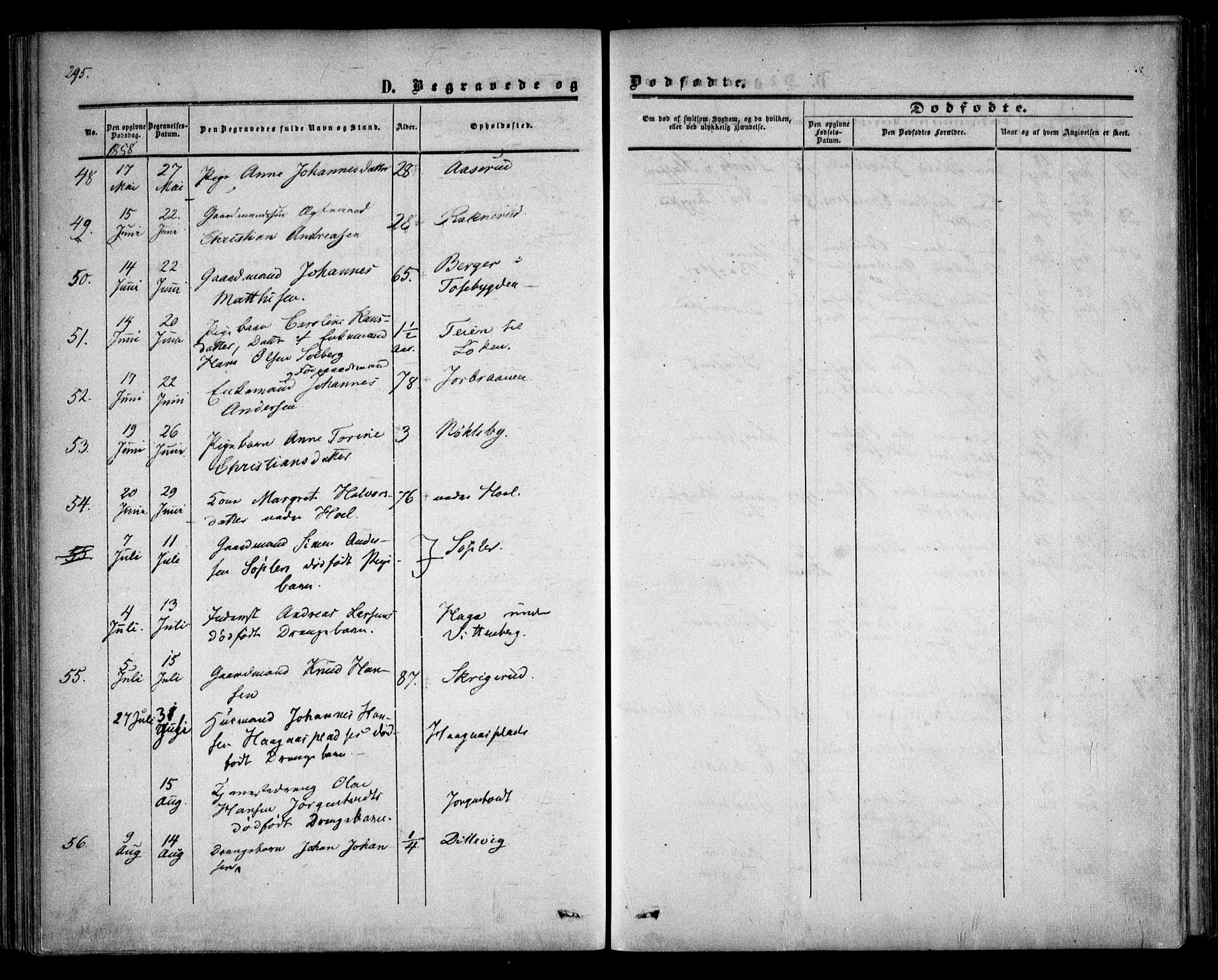 Trøgstad prestekontor Kirkebøker, AV/SAO-A-10925/F/Fa/L0008.b: Ministerialbok nr. I 8B, 1855-1864, s. 295