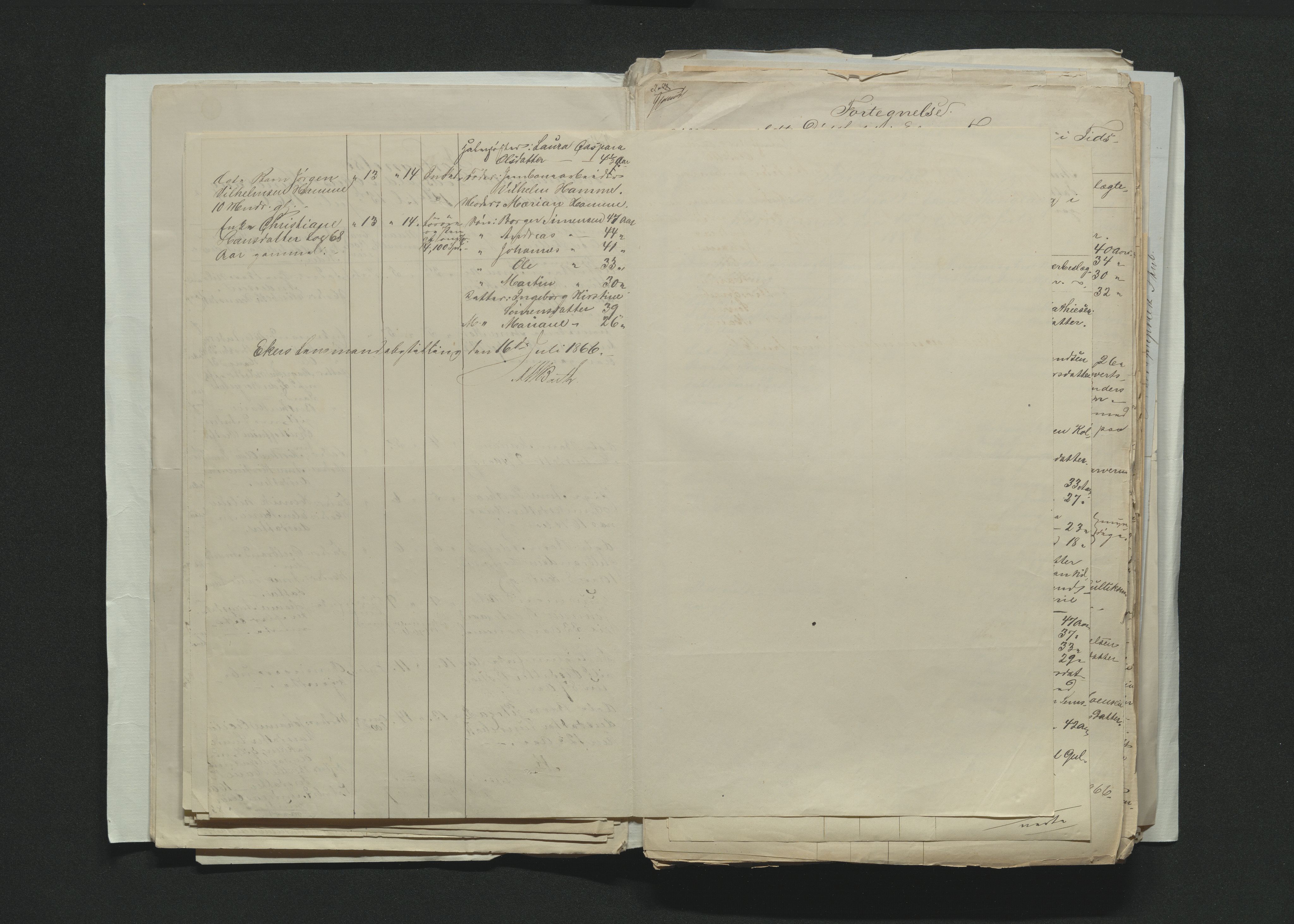 Eiker, Modum og Sigdal sorenskriveri, AV/SAKO-A-123/H/Ha/Hab/L0012: Dødsfallsmeldinger, 1866-1869, s. 29