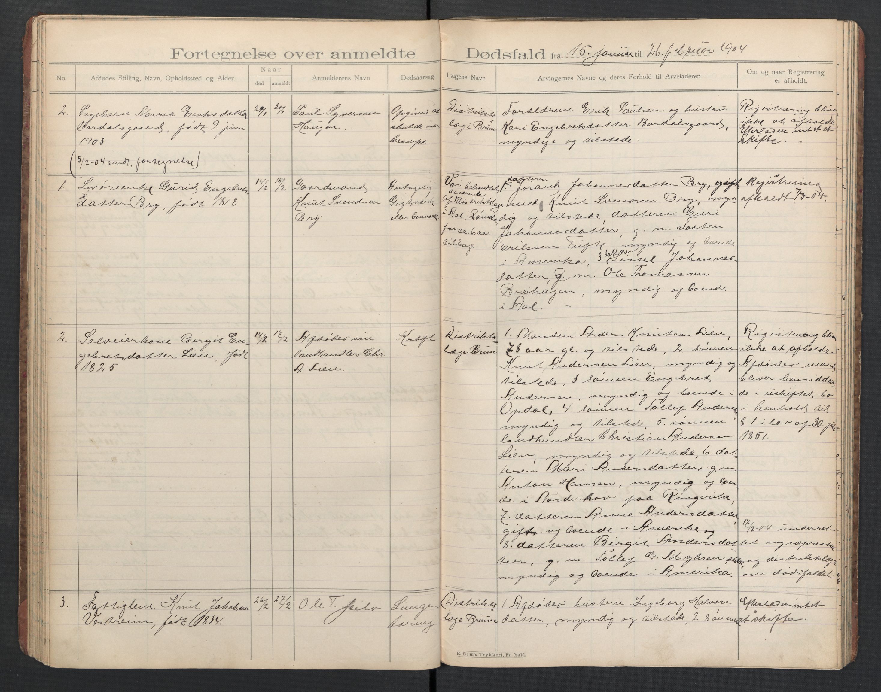 Hol lensmannskontor, AV/SAKO-A-512/H/Ha/L0003: Dødsanmeldelsesprotokoll, 1899-1911