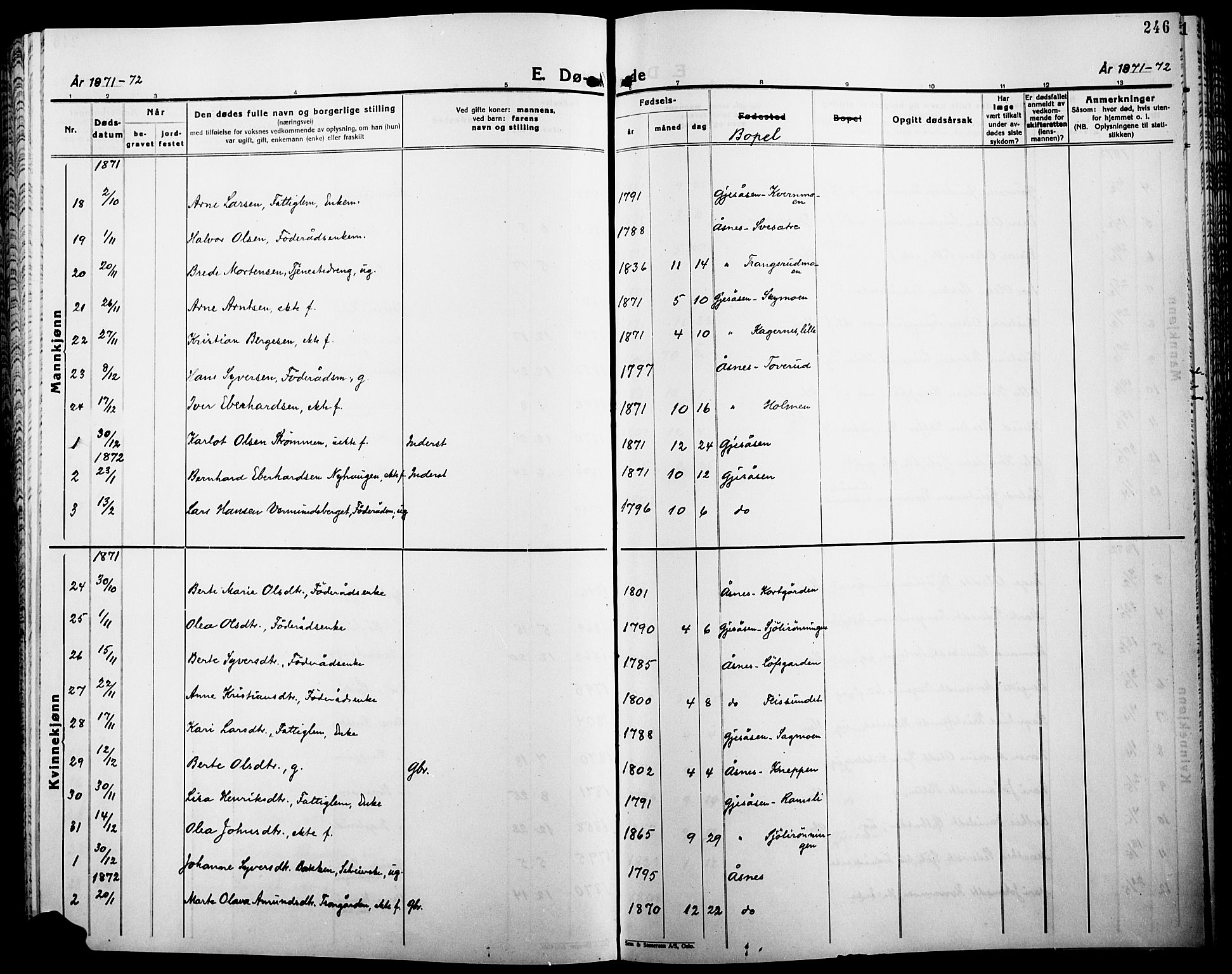Åsnes prestekontor, AV/SAH-PREST-042/H/Ha/Haa/L0000B: Ministerialbok, 1870-1889, s. 246