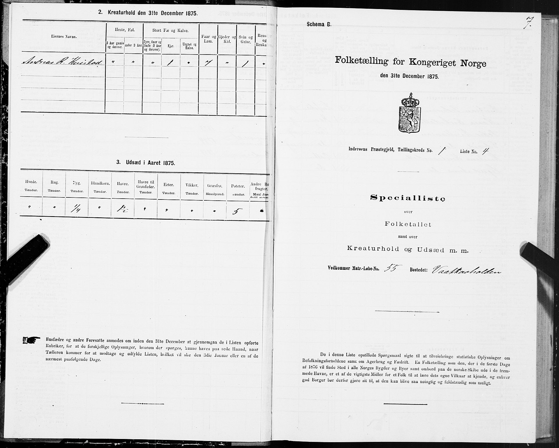 SAT, Folketelling 1875 for 1729P Inderøy prestegjeld, 1875, s. 1007