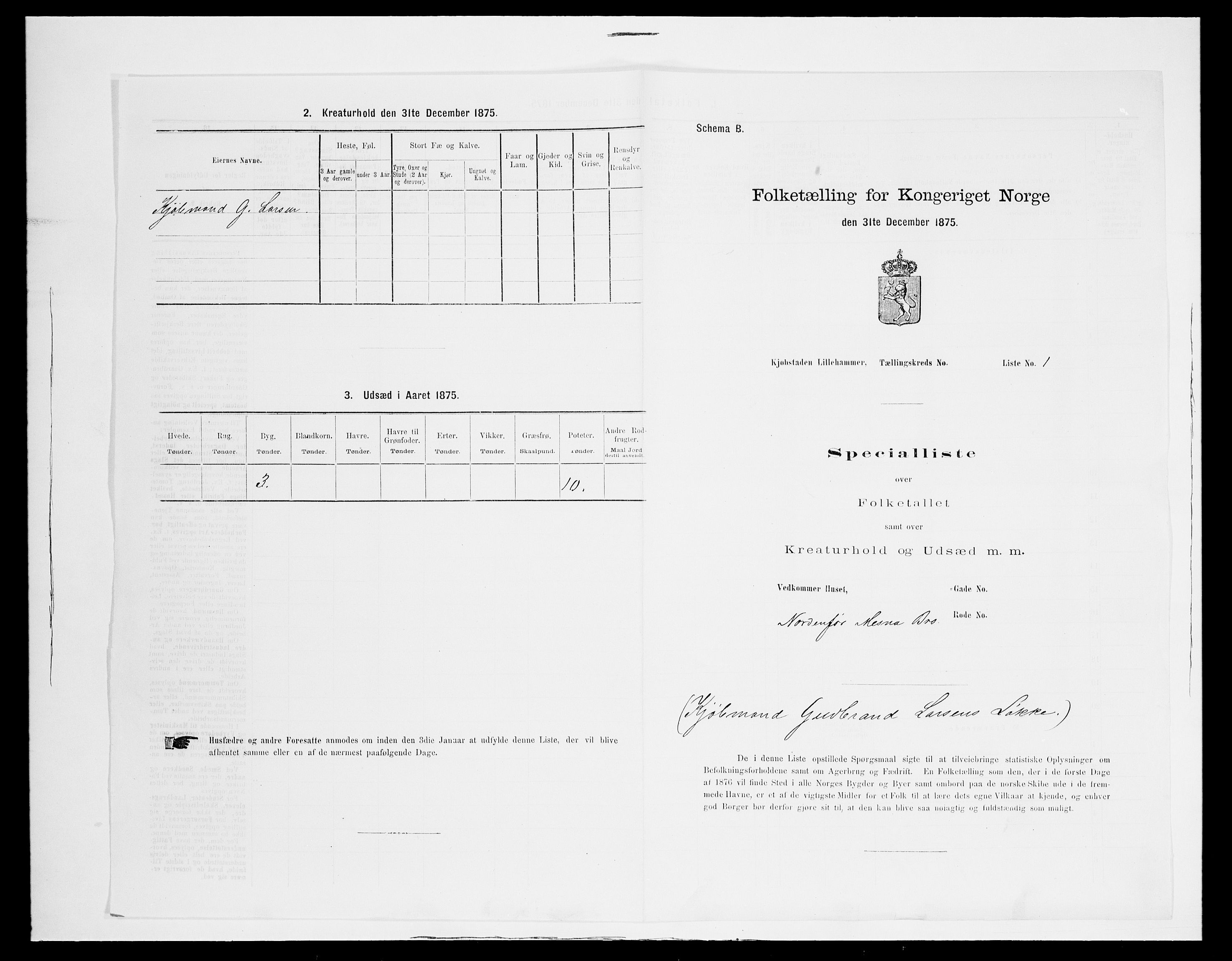 SAH, Folketelling 1875 for 0501B Fåberg prestegjeld, Lillehammer kjøpstad, 1875, s. 4