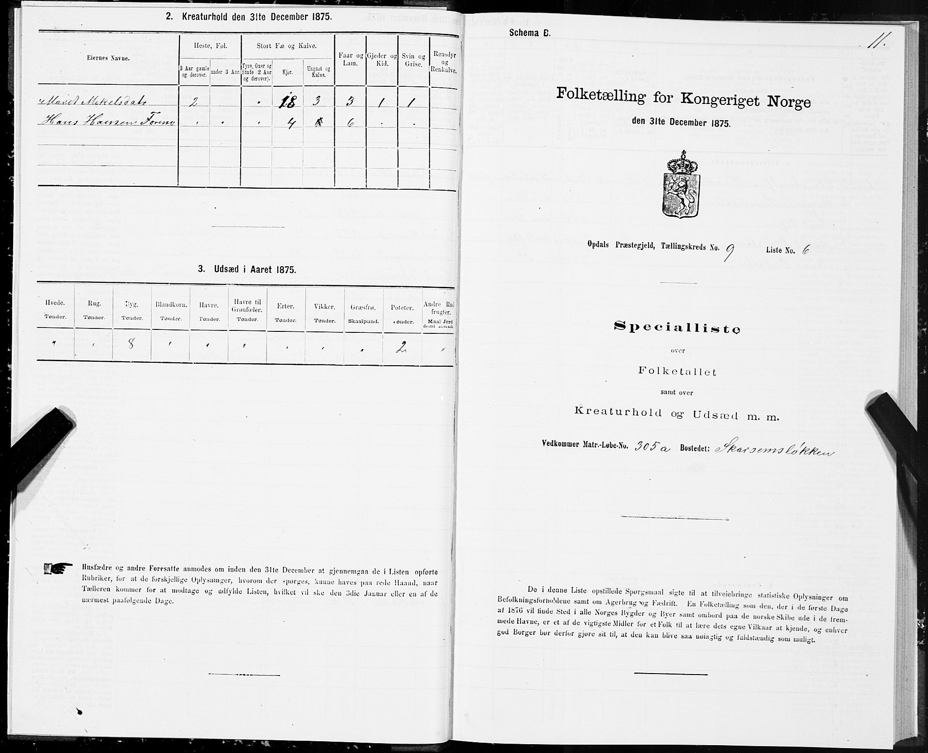 SAT, Folketelling 1875 for 1634P Oppdal prestegjeld, 1875, s. 6011