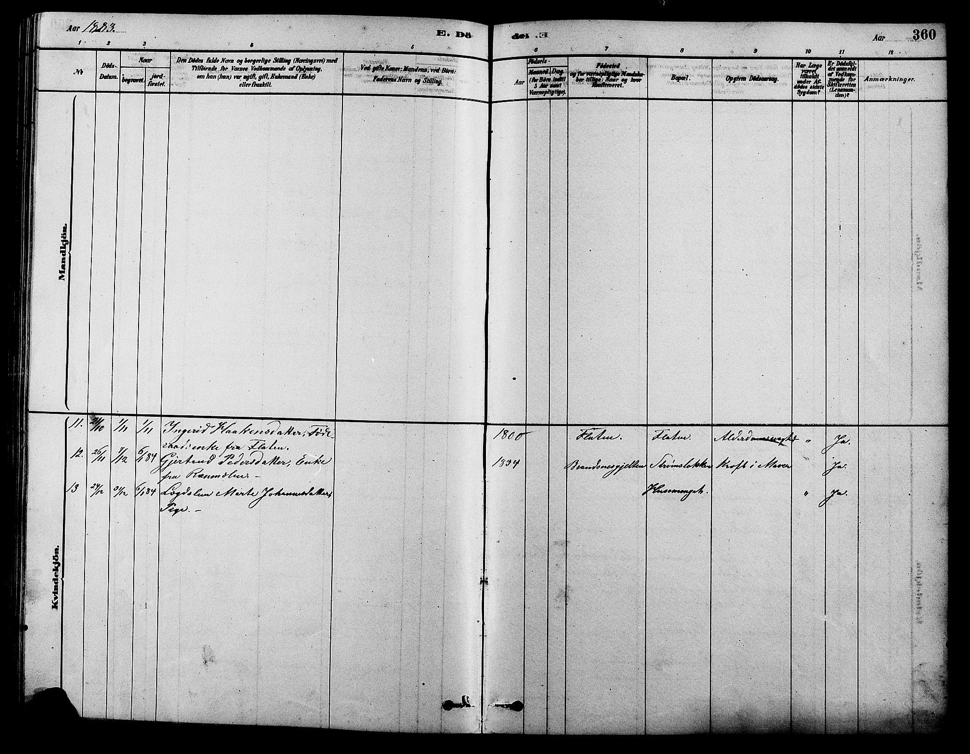 Alvdal prestekontor, SAH/PREST-060/H/Ha/Hab/L0003: Klokkerbok nr. 3, 1878-1907, s. 360