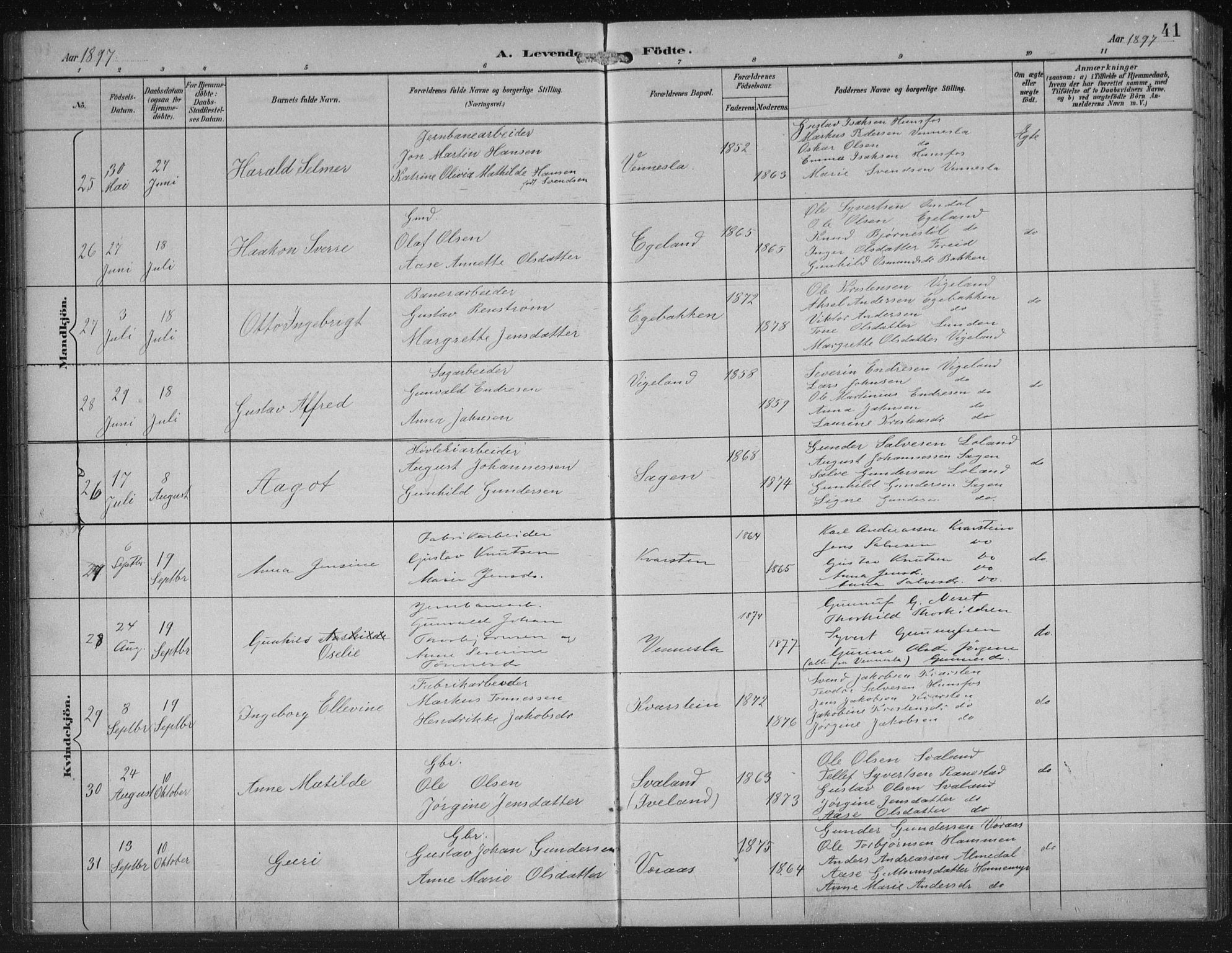 Vennesla sokneprestkontor, AV/SAK-1111-0045/Fb/Fbb/L0004: Klokkerbok nr. B 4, 1893-1902, s. 41