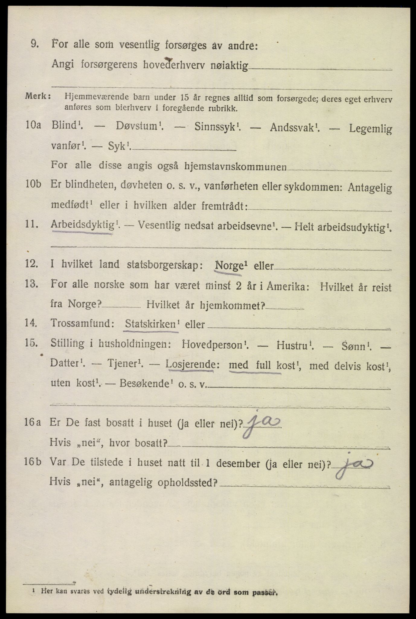 SAK, Folketelling 1920 for 0936 Hornnes herred, 1920, s. 3064