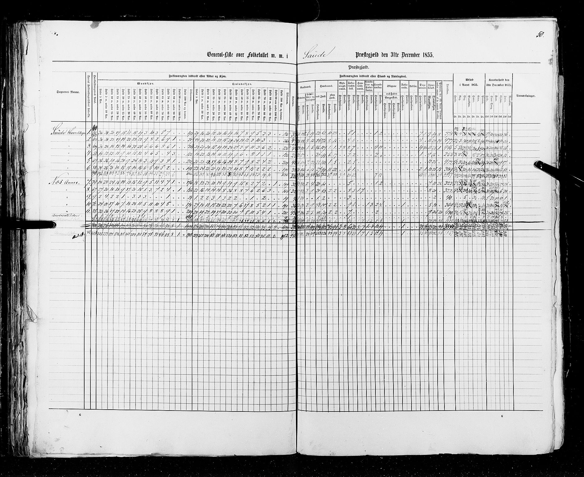 RA, Folketellingen 1855, bind 3: Bratsberg amt, Nedenes amt og Lister og Mandal amt, 1855, s. 50