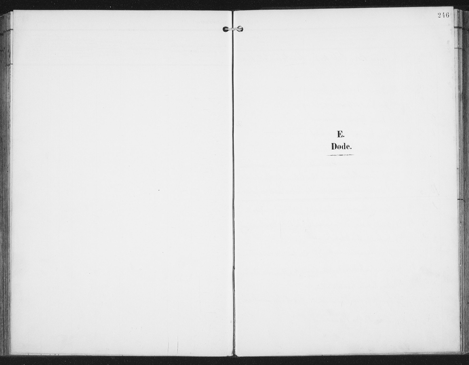 Ministerialprotokoller, klokkerbøker og fødselsregistre - Nordland, AV/SAT-A-1459/876/L1098: Ministerialbok nr. 876A04, 1896-1915, s. 246