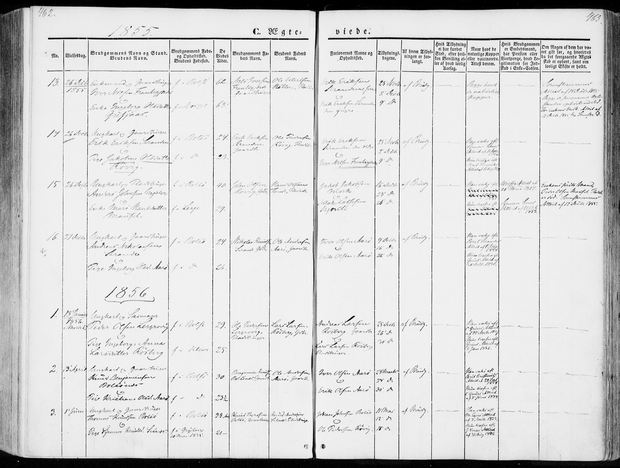 Ministerialprotokoller, klokkerbøker og fødselsregistre - Møre og Romsdal, AV/SAT-A-1454/555/L0653: Ministerialbok nr. 555A04, 1843-1869, s. 462-463