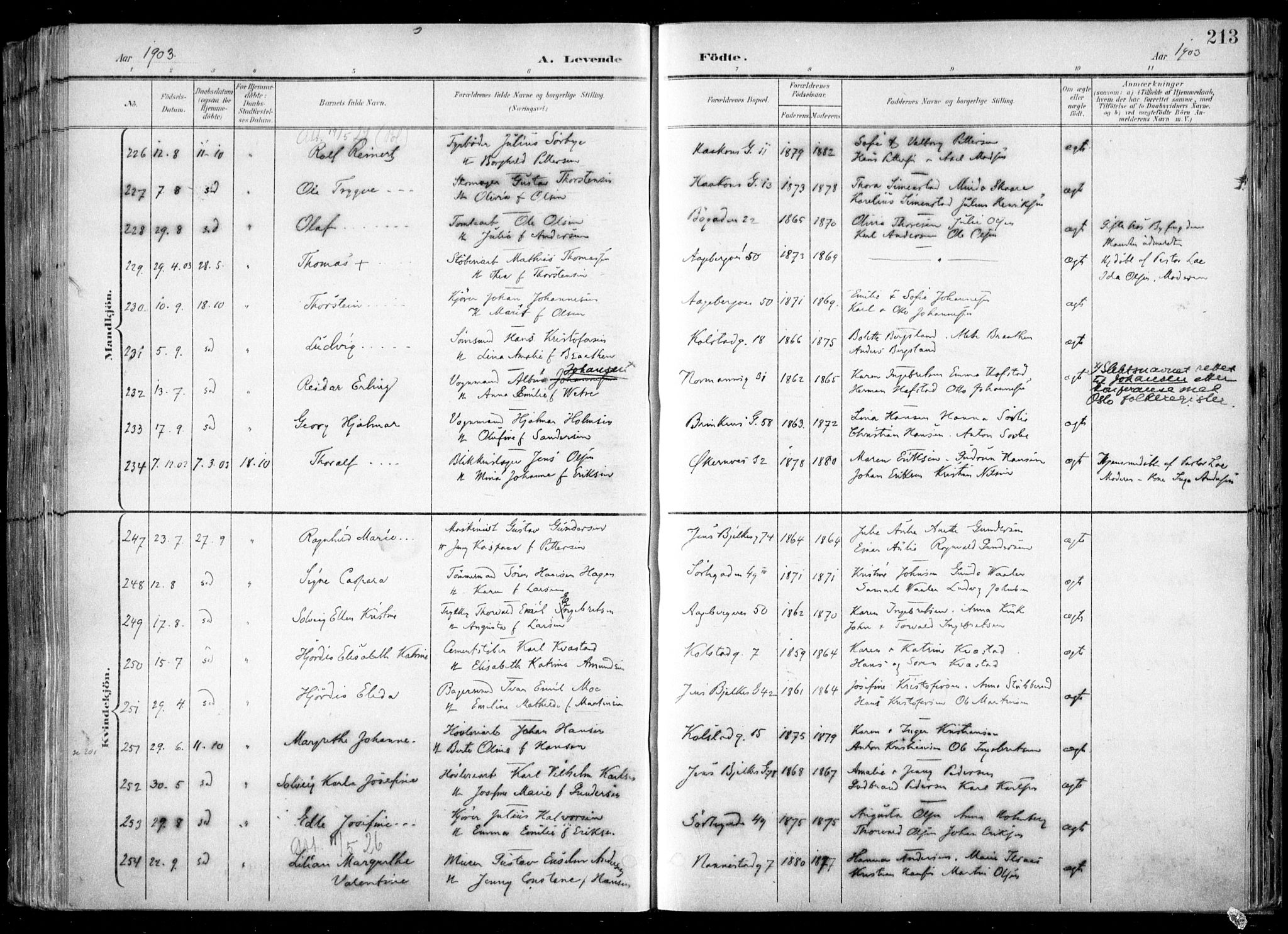 Kampen prestekontor Kirkebøker, AV/SAO-A-10853/F/Fa/L0007: Ministerialbok nr. I 7, 1897-1905, s. 213