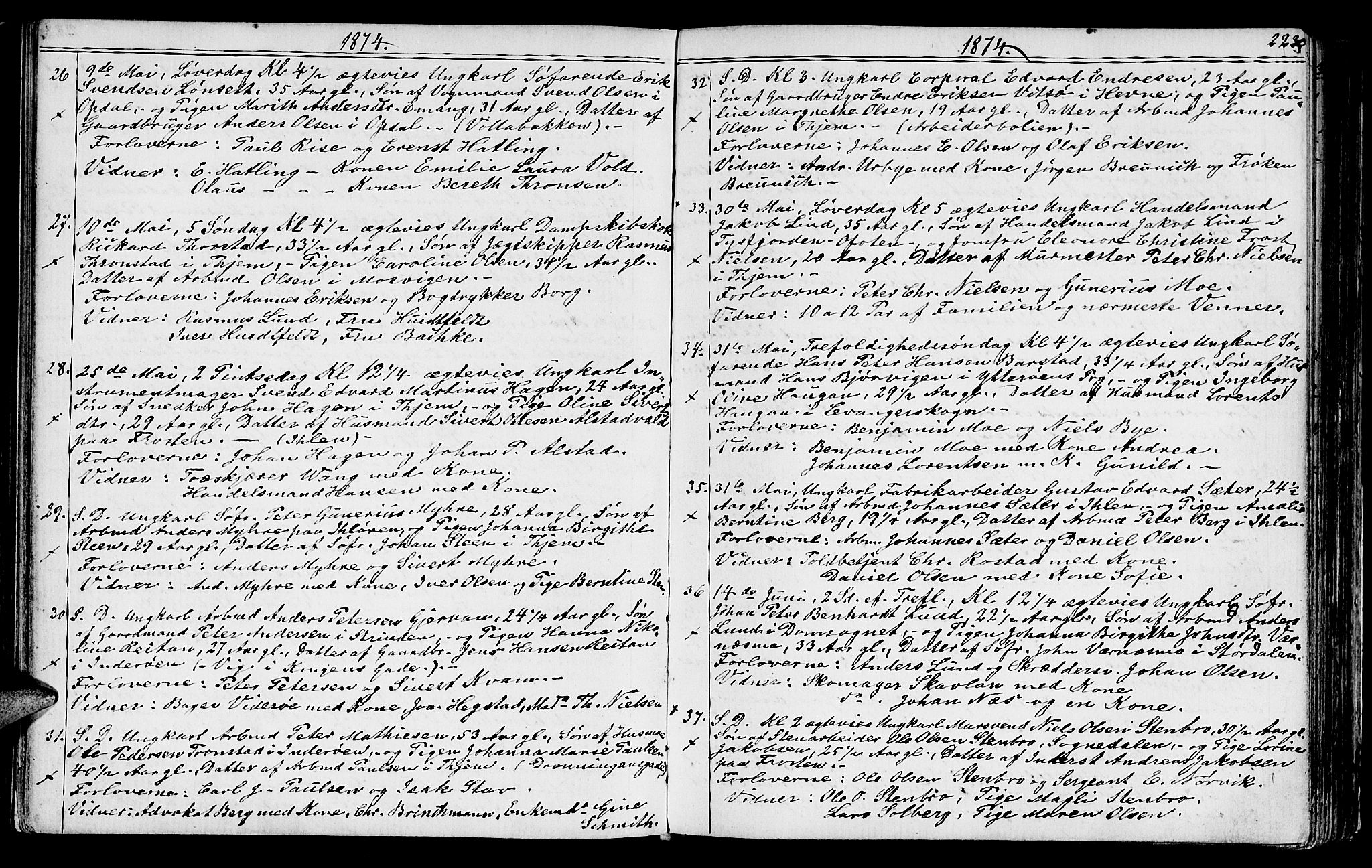 Ministerialprotokoller, klokkerbøker og fødselsregistre - Sør-Trøndelag, AV/SAT-A-1456/602/L0142: Klokkerbok nr. 602C10, 1872-1894, s. 223