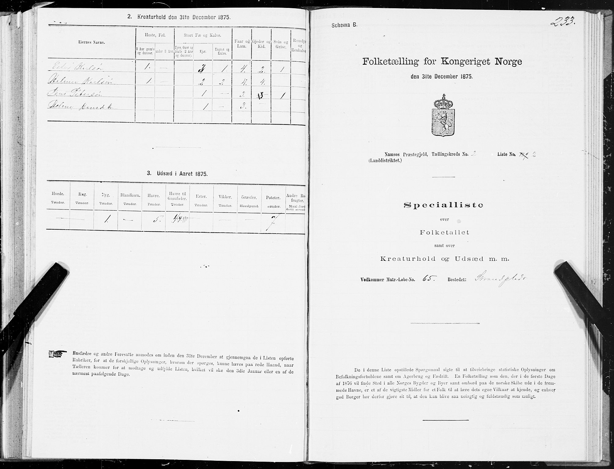 SAT, Folketelling 1875 for 1745L Namsos prestegjeld, Vemundvik sokn og Sævik sokn, 1875, s. 2233