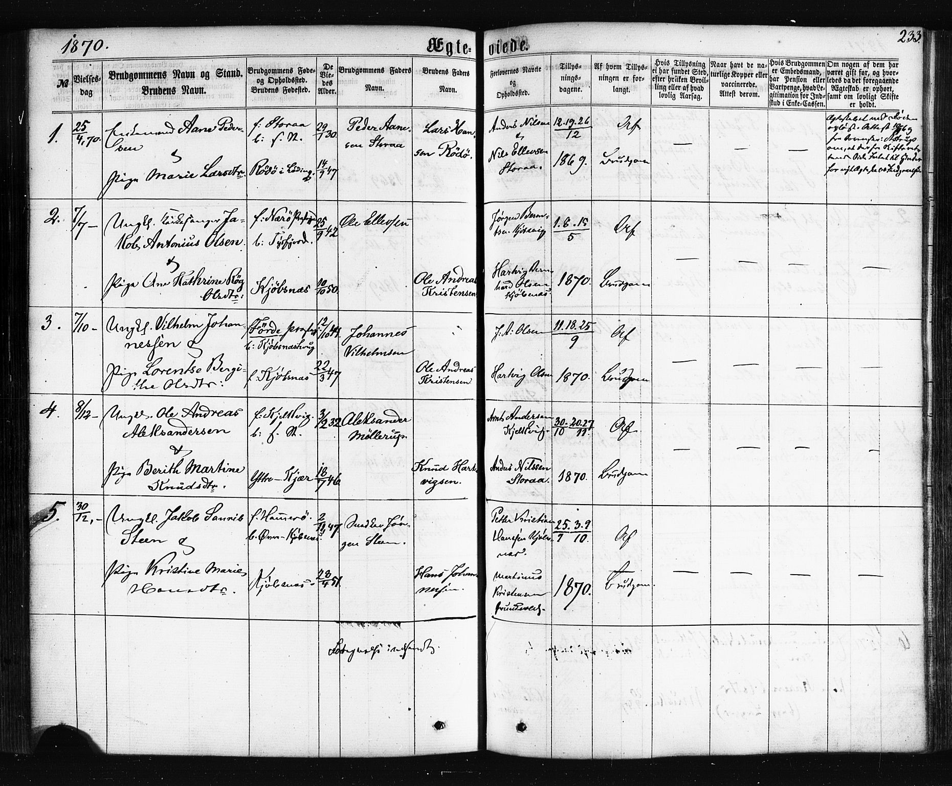 Ministerialprotokoller, klokkerbøker og fødselsregistre - Nordland, AV/SAT-A-1459/861/L0867: Ministerialbok nr. 861A02, 1864-1878, s. 233