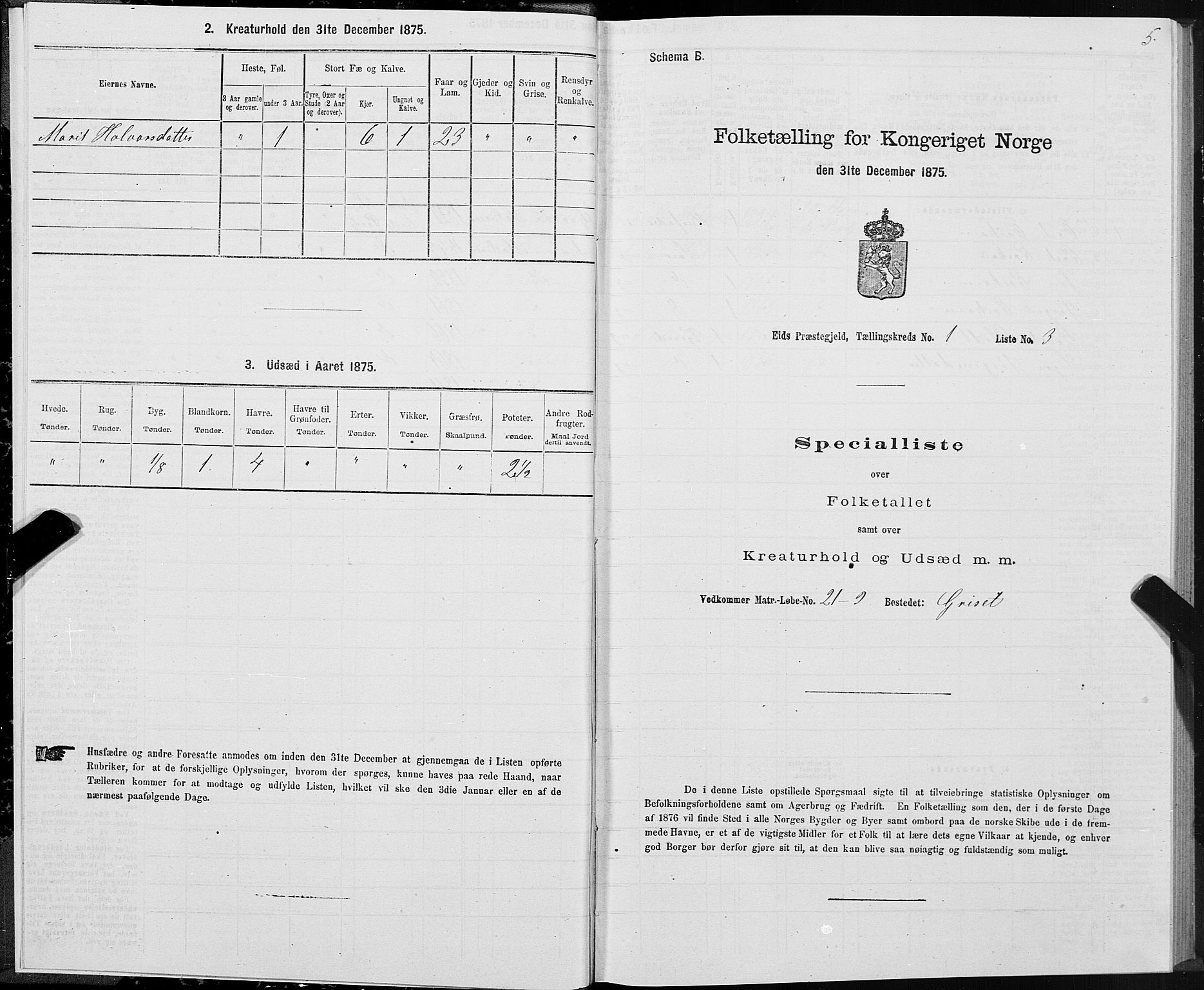 SAT, Folketelling 1875 for 1538P Eid prestegjeld, 1875, s. 1005