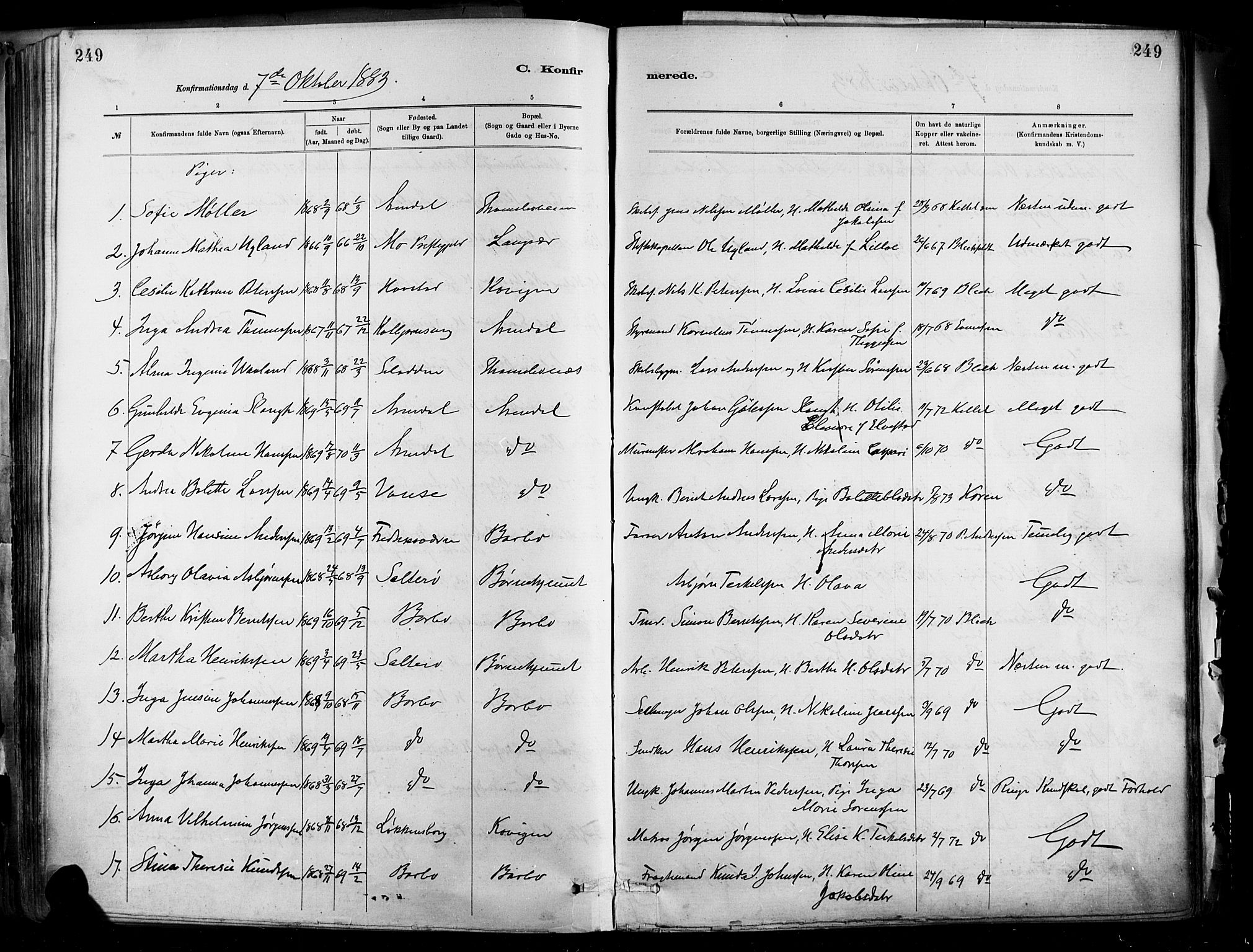 Barbu sokneprestkontor, AV/SAK-1111-0003/F/Fa/L0002: Ministerialbok nr. A 2, 1883-1898, s. 249
