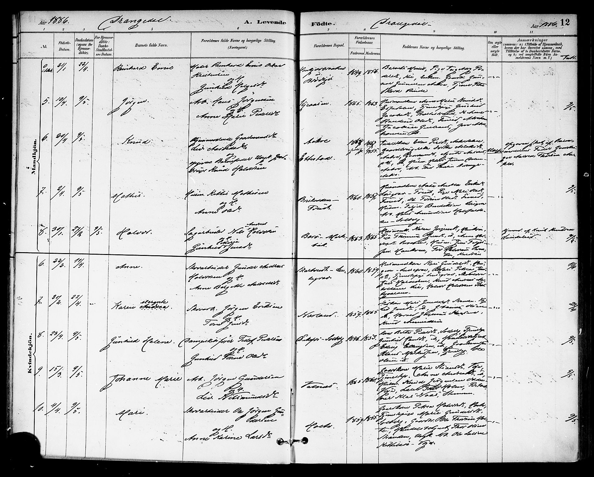 Drangedal kirkebøker, AV/SAKO-A-258/F/Fa/L0010: Ministerialbok nr. 10 /1, 1885-1894, s. 12