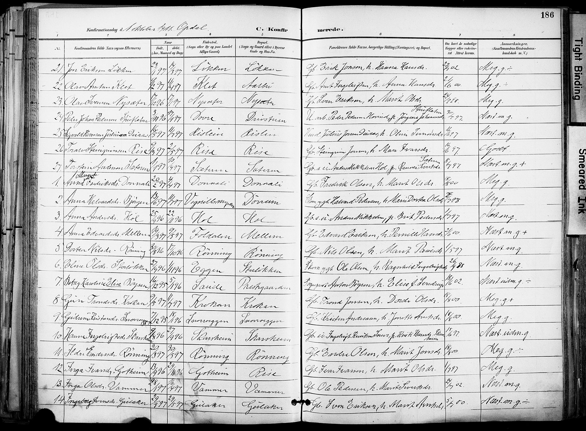 Ministerialprotokoller, klokkerbøker og fødselsregistre - Sør-Trøndelag, SAT/A-1456/678/L0902: Ministerialbok nr. 678A11, 1895-1911, s. 186