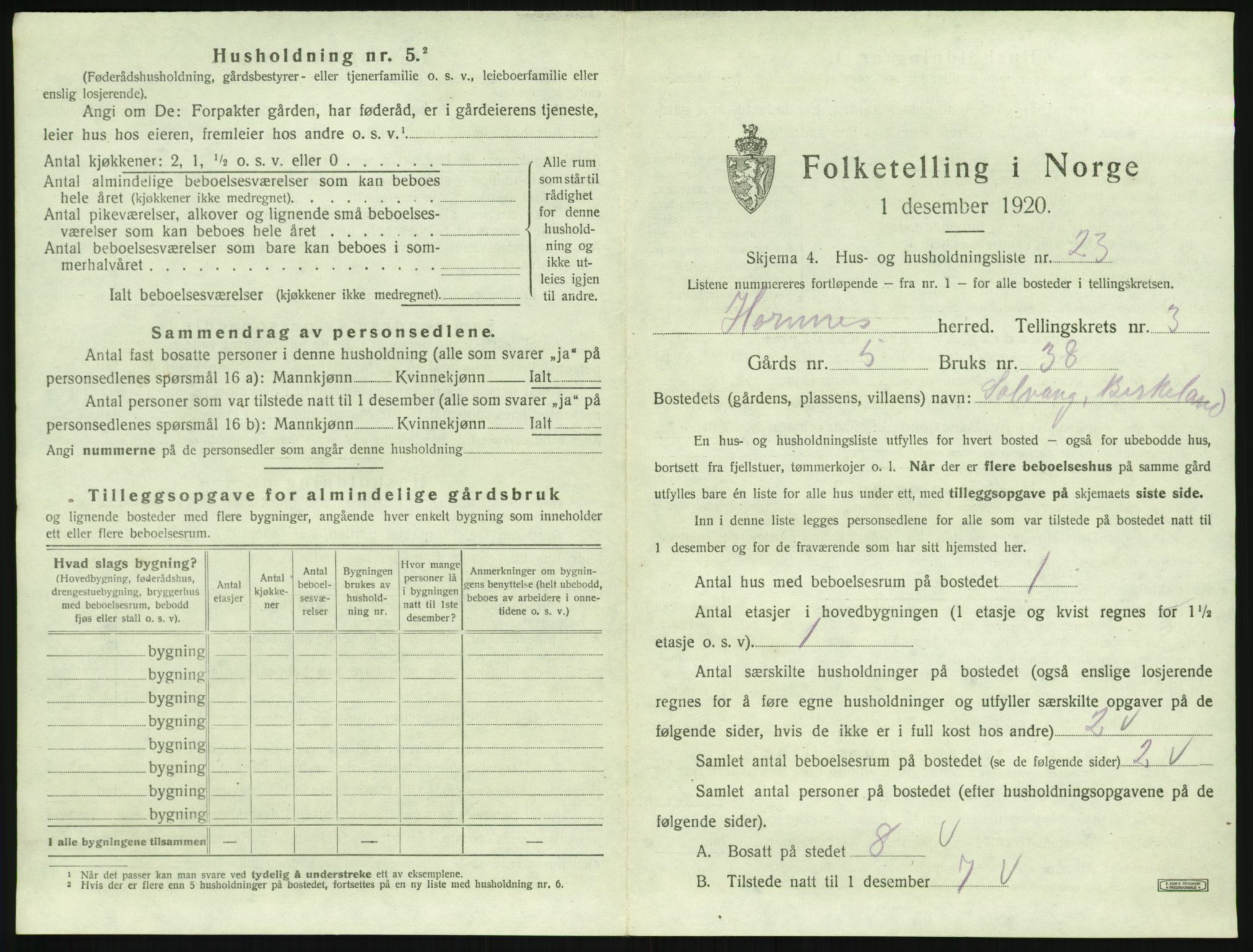SAK, Folketelling 1920 for 0936 Hornnes herred, 1920, s. 161