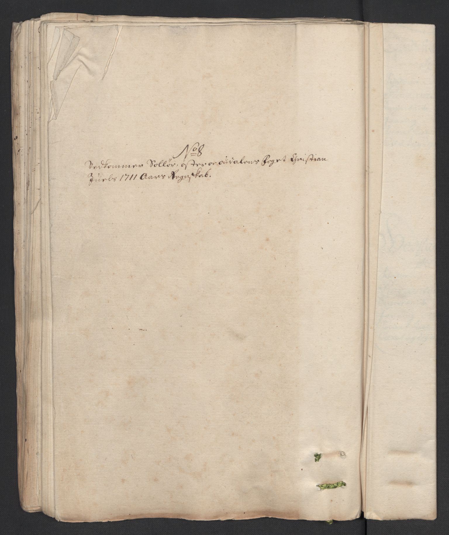 Rentekammeret inntil 1814, Reviderte regnskaper, Fogderegnskap, RA/EA-4092/R13/L0848: Fogderegnskap Solør, Odal og Østerdal, 1711, s. 193