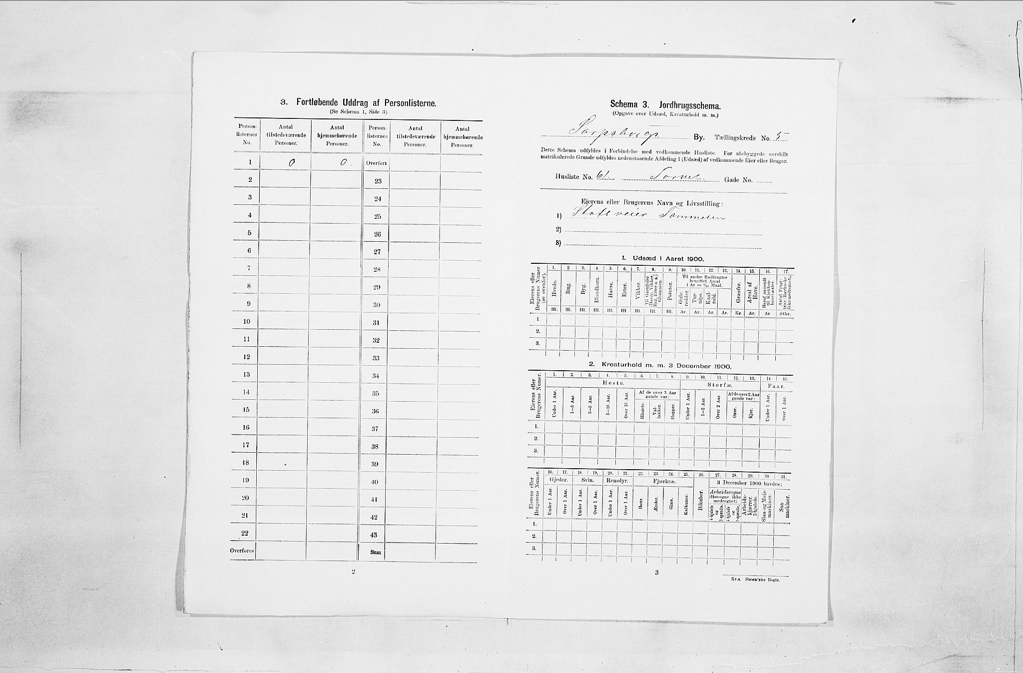 SAO, Folketelling 1900 for 0102 Sarpsborg kjøpstad, 1900