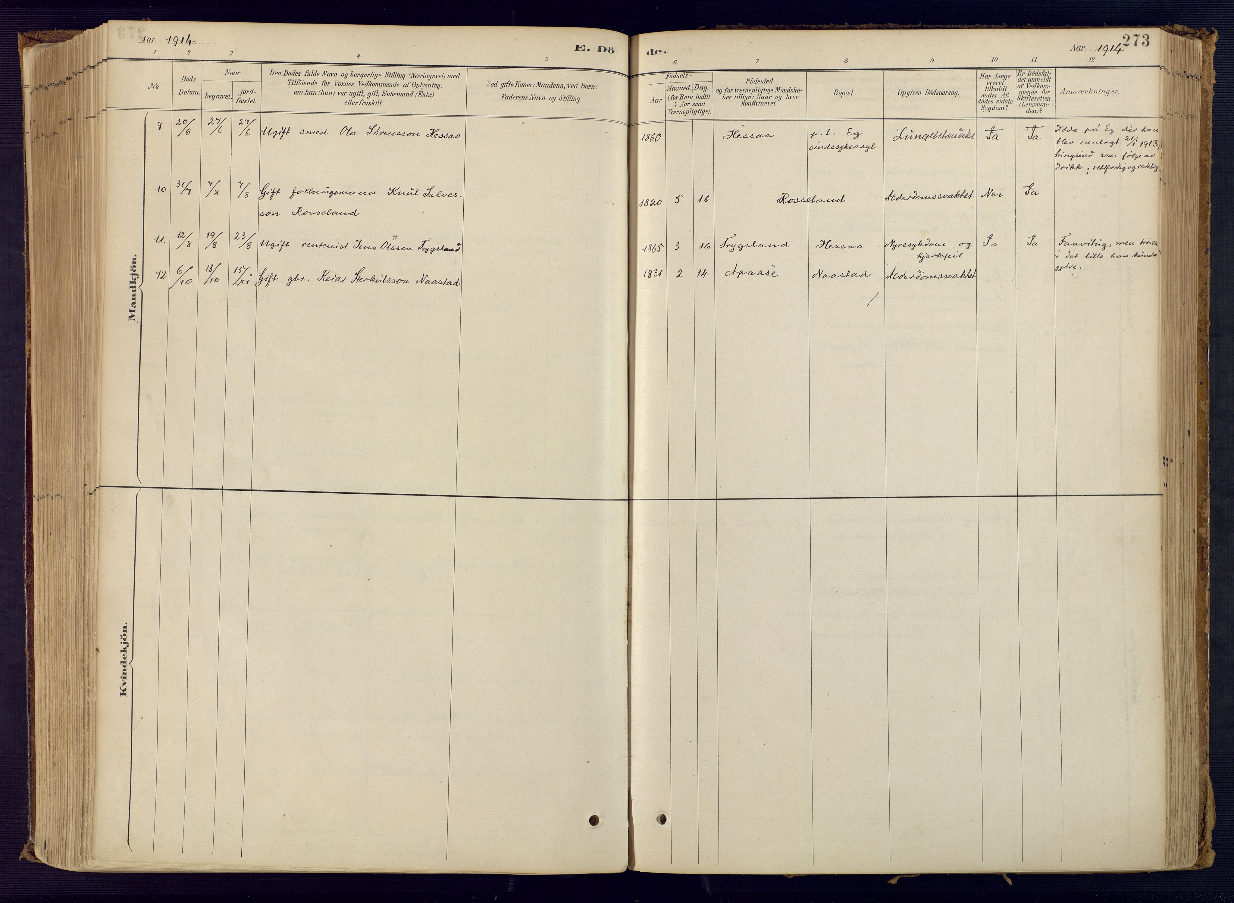 Bjelland sokneprestkontor, SAK/1111-0005/F/Fa/Faa/L0004: Ministerialbok nr. A 4, 1887-1923, s. 273