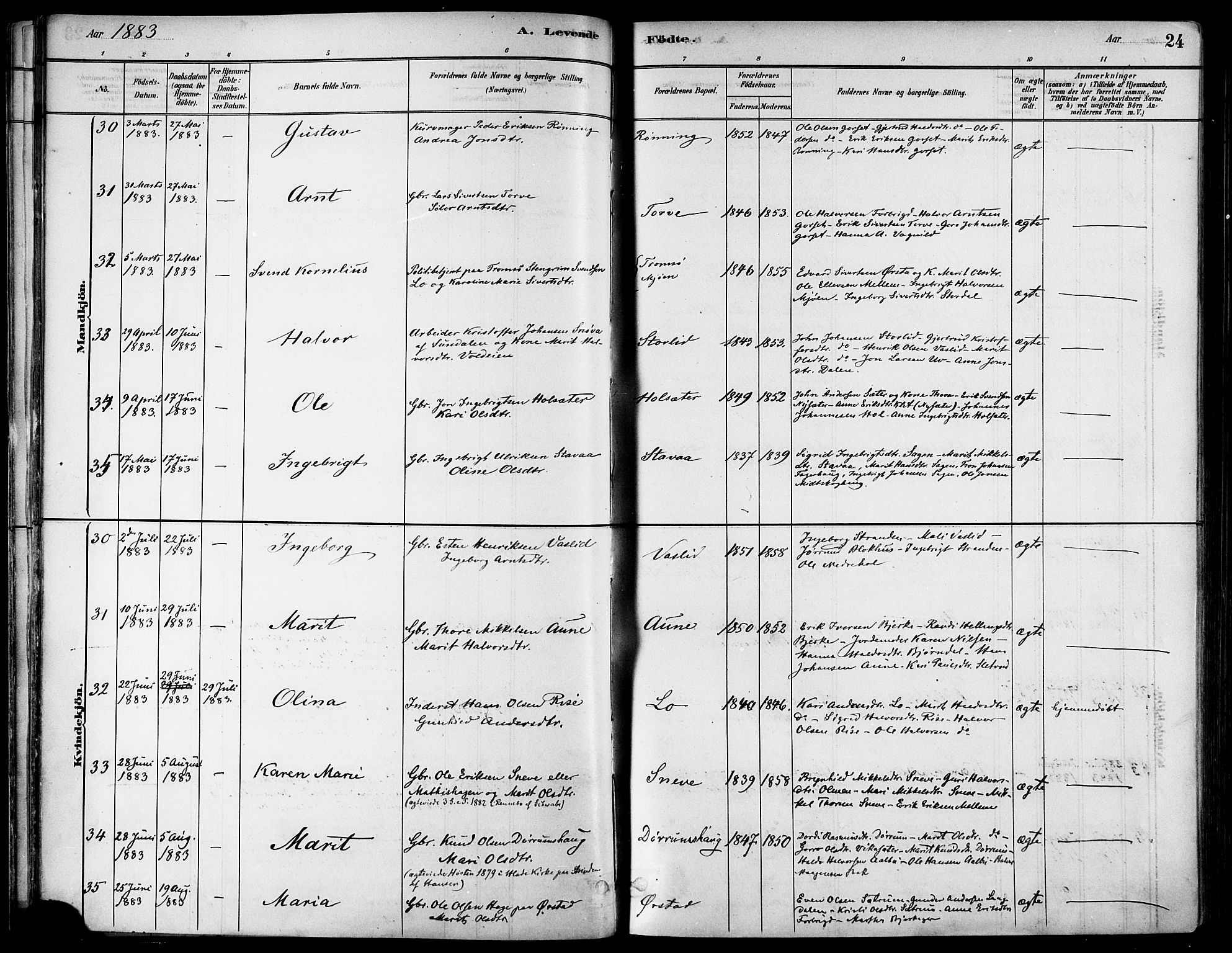 Ministerialprotokoller, klokkerbøker og fødselsregistre - Sør-Trøndelag, AV/SAT-A-1456/678/L0901: Ministerialbok nr. 678A10, 1881-1894, s. 24