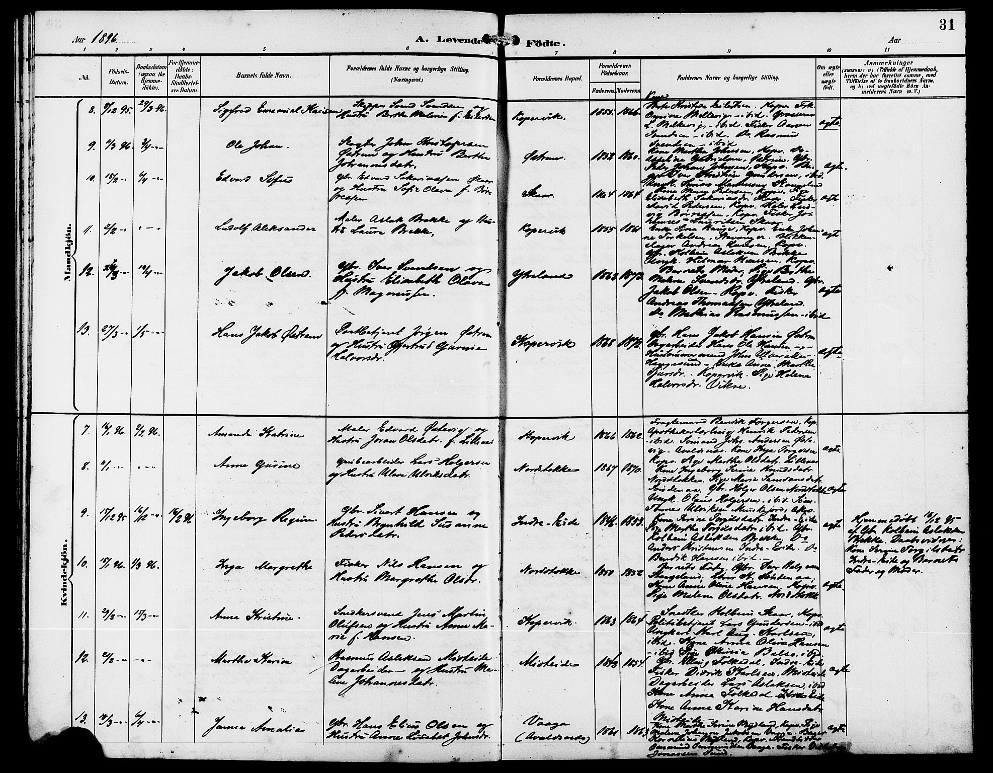 Kopervik sokneprestkontor, AV/SAST-A-101850/H/Ha/Hab/L0003: Klokkerbok nr. B 3, 1891-1909, s. 31