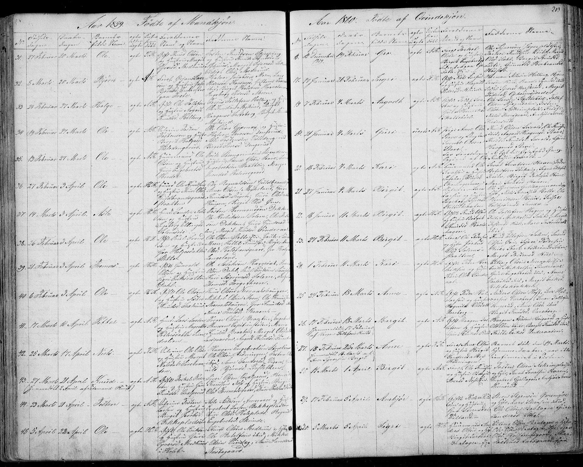 Ål kirkebøker, SAKO/A-249/F/Fa/L0006: Ministerialbok nr. I 6, 1849-1864, s. 213