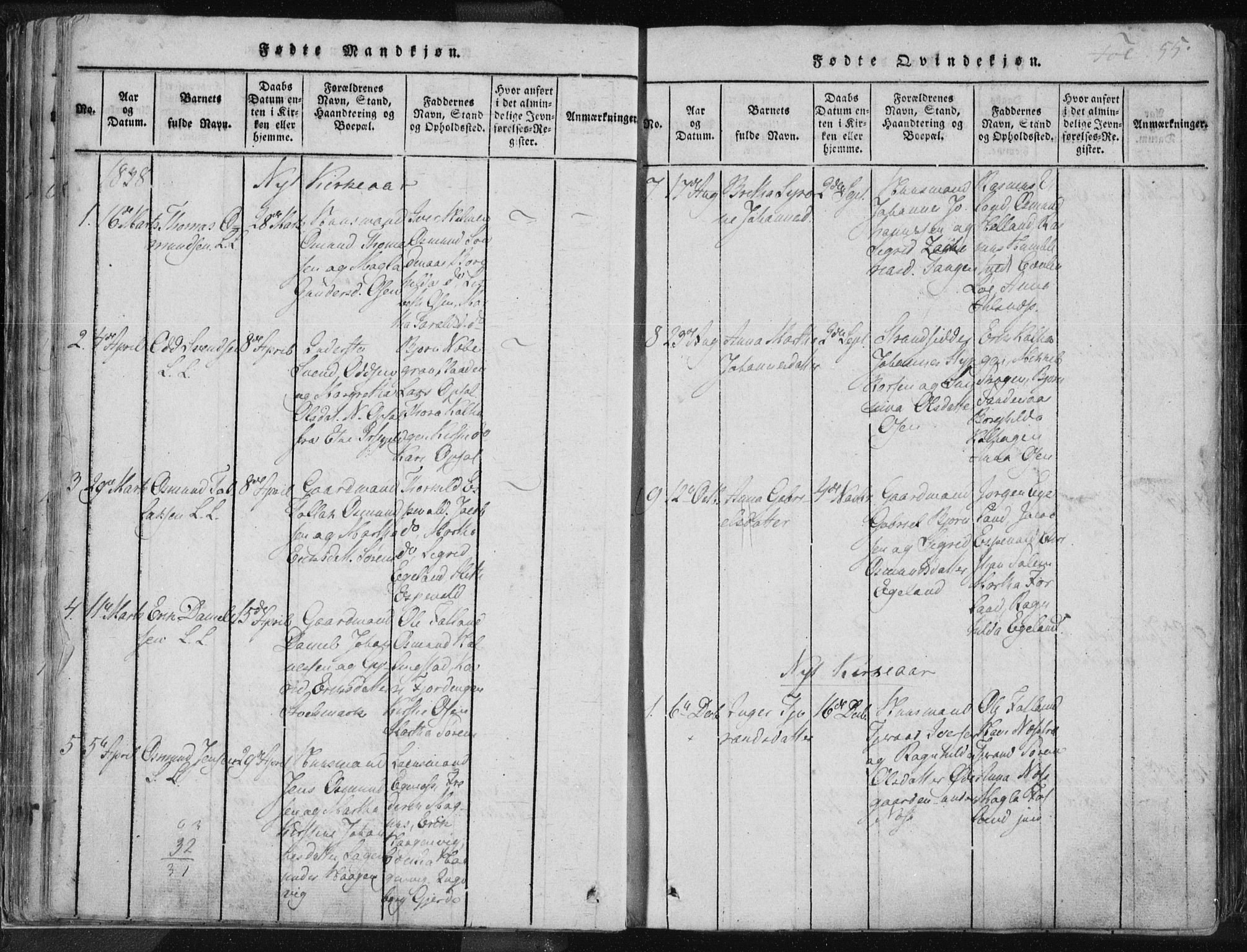 Vikedal sokneprestkontor, AV/SAST-A-101840/01/IV: Ministerialbok nr. A 3, 1817-1850, s. 55