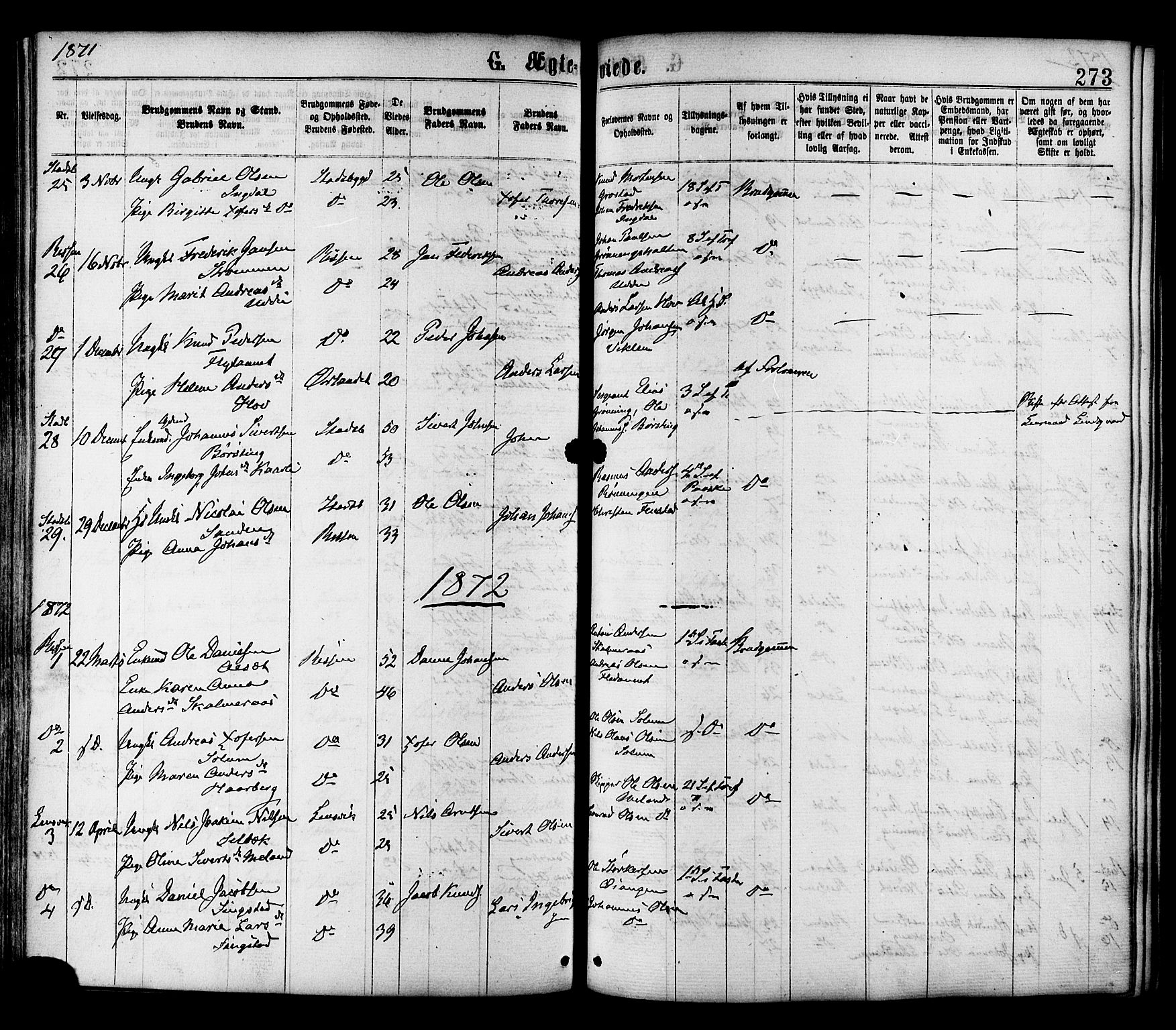 Ministerialprotokoller, klokkerbøker og fødselsregistre - Sør-Trøndelag, AV/SAT-A-1456/646/L0613: Ministerialbok nr. 646A11, 1870-1884, s. 273